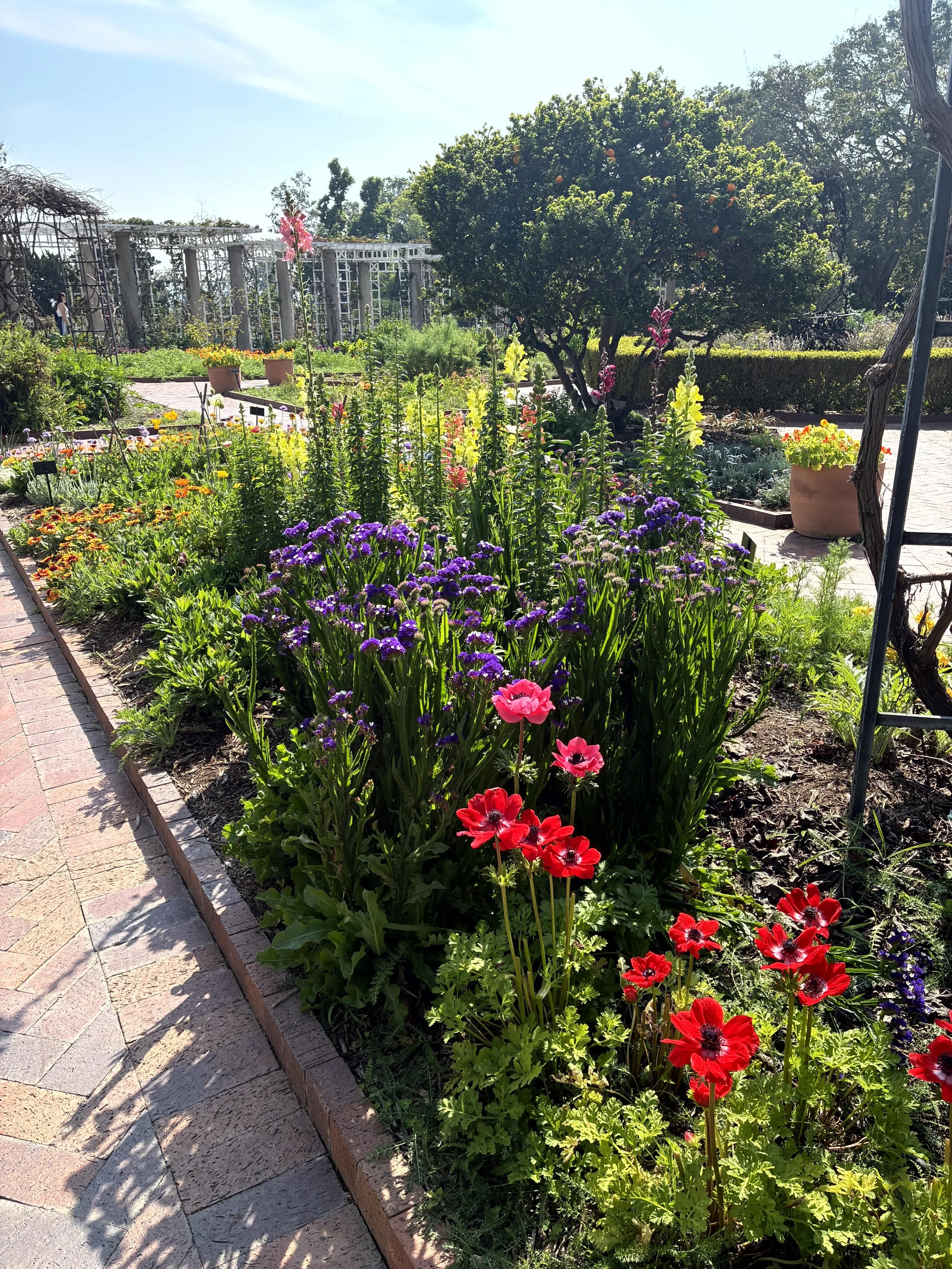 Colorful garden with various blooming flowers, trees, and a pathway in bright sunlight.