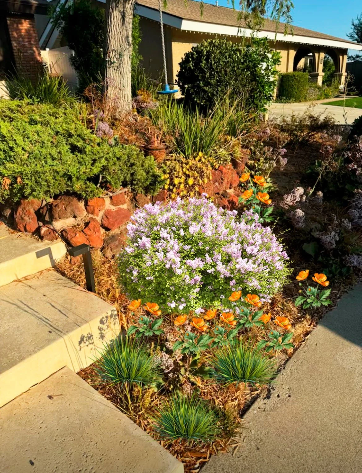 A landscaped front yard garden with various flowering plants, bushes, and a tree, with steps leading to a walkway and houses in the background.
