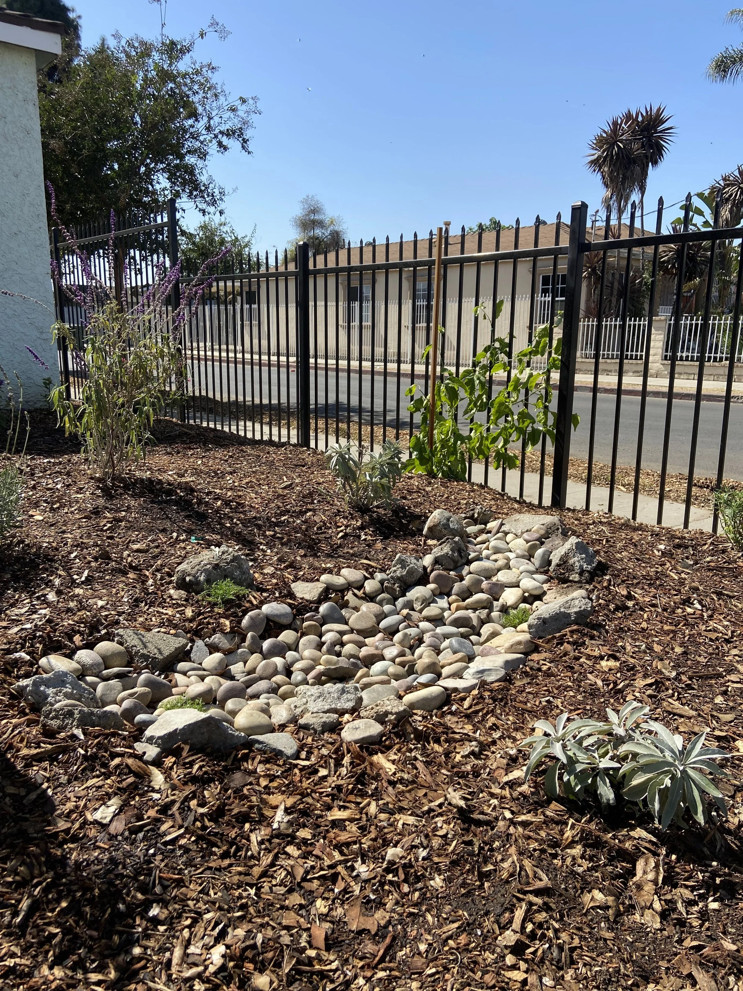 A garden with soil and mulch, with a small pile of white pebbles and nearby green plants. In the background, there is a black metal fence and a residential building with a beige wall and brown roof. The sky is clear and blue.