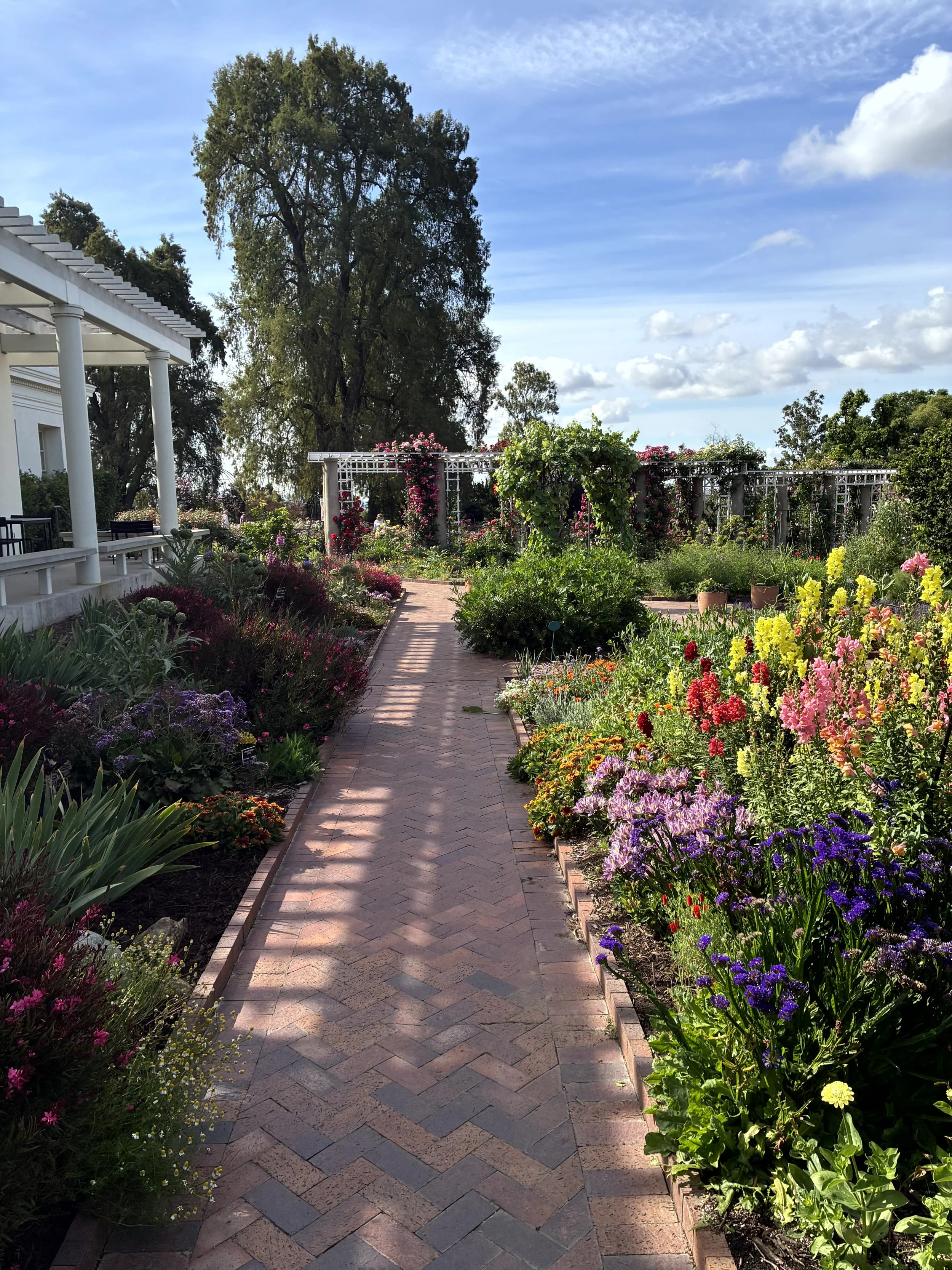 A garden with a brick pathway leading through colorful flowers on either side, a white pergola with pink roses, and trees in the background under a blue sky with clouds.