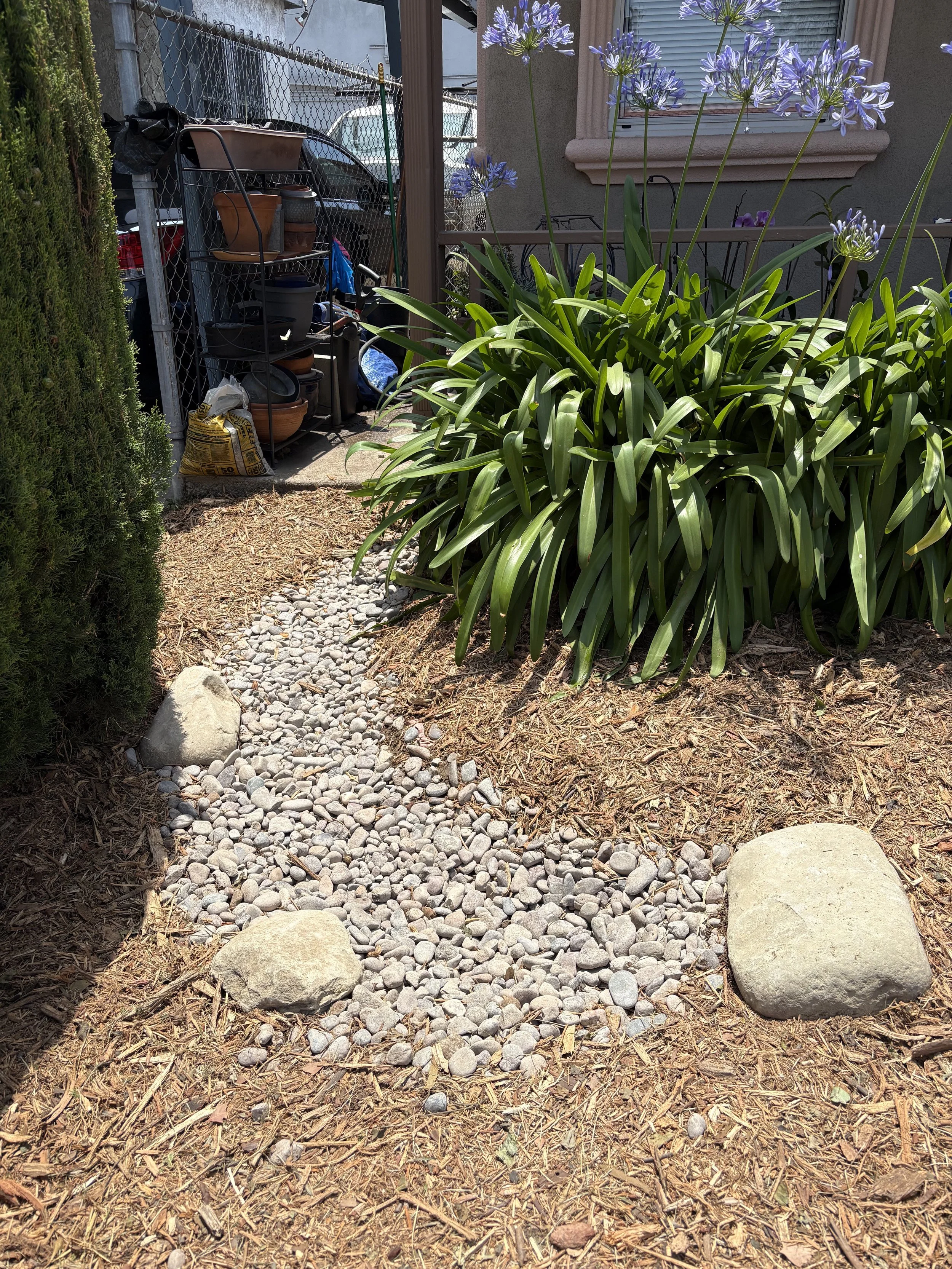 A backyard garden with a swale made of small gray stones, bordered by large rocks and dry mulch, with a bush of purple flowers and green leaves on the right and some gardening supplies stored on a metal rack in the background.
