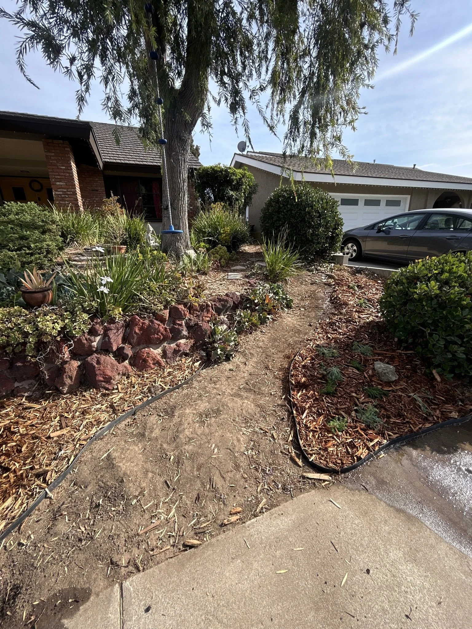A residential front yard with a garden bed, a winding dirt path, and a concrete sidewalk in front. There are trees, shrubs, and plants, with a house and a parked car in the background.