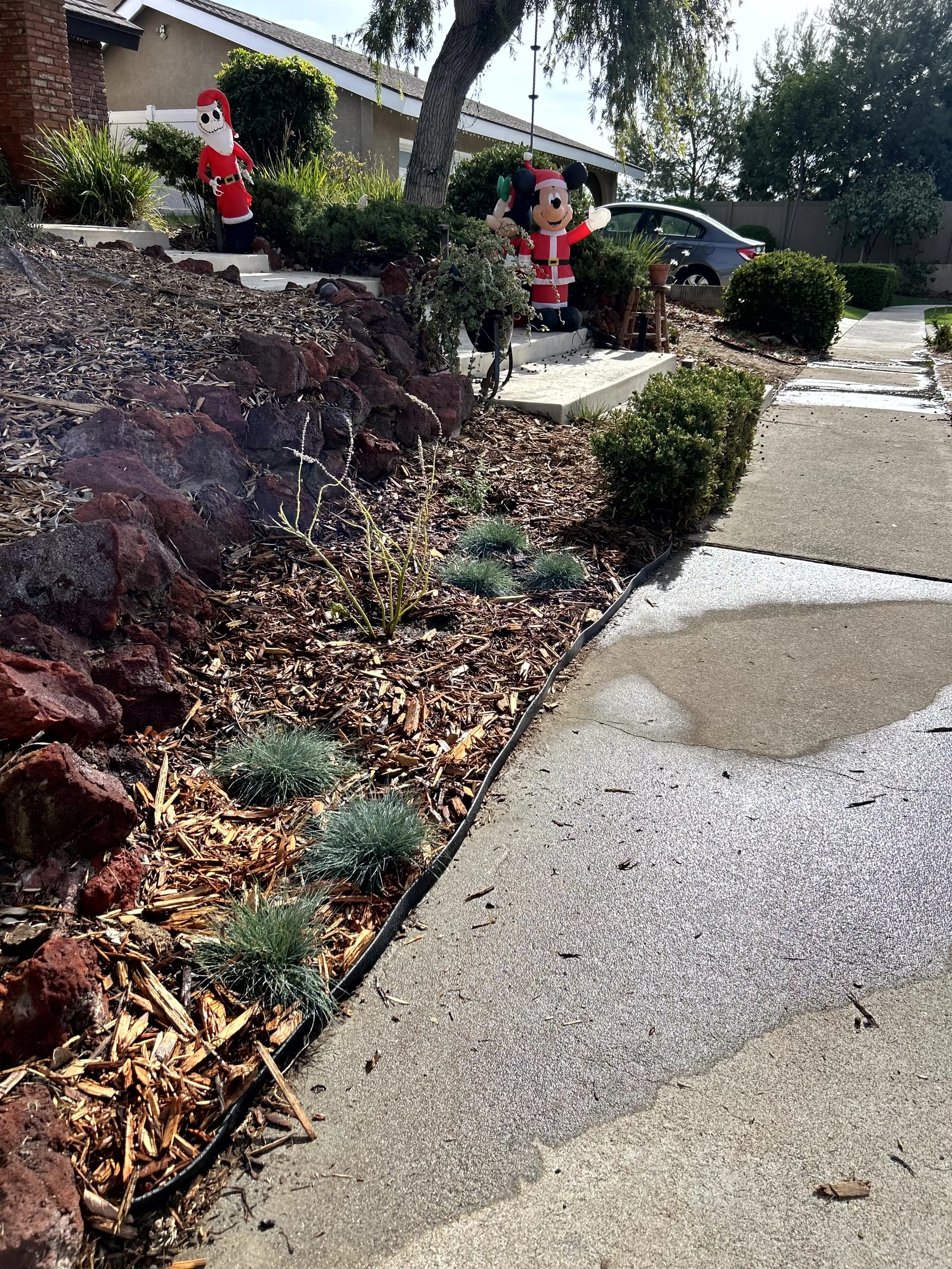Decorative Christmas figurines of Santa Claus, Mickey Mouse dressed as Santa, and an elf on a porch steps surrounded by bushes and trees in a residential yard.
