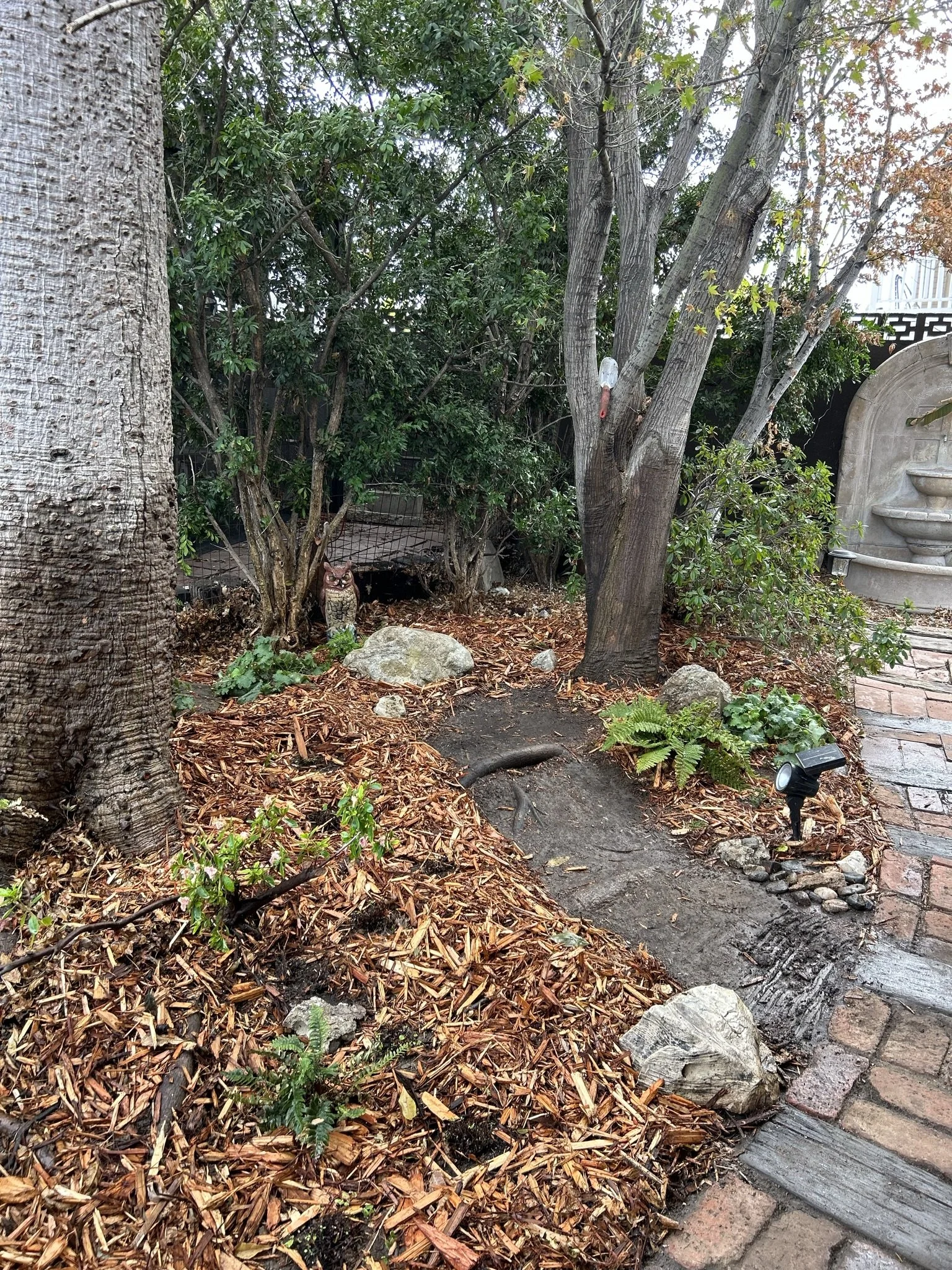 A small owl sculpture on the ground near trees and plants, with a garden path and rock decorations around, and a spotlight on the ground in a landscaped garden.