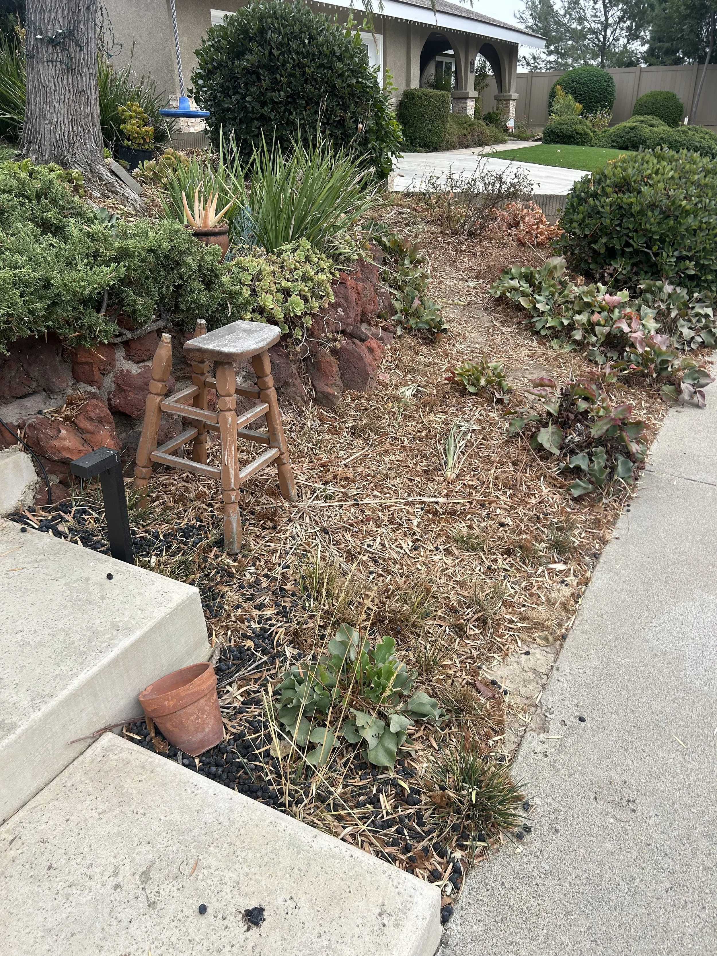 A small garden bed beside a concrete sidewalk with a variety of drought-tolerant plants, including succulents, shrubs, and grasses. A wooden stool and a terracotta pot are in the garden, alongside mulch and black stones. There is a house with a porch and a lawn in the background.