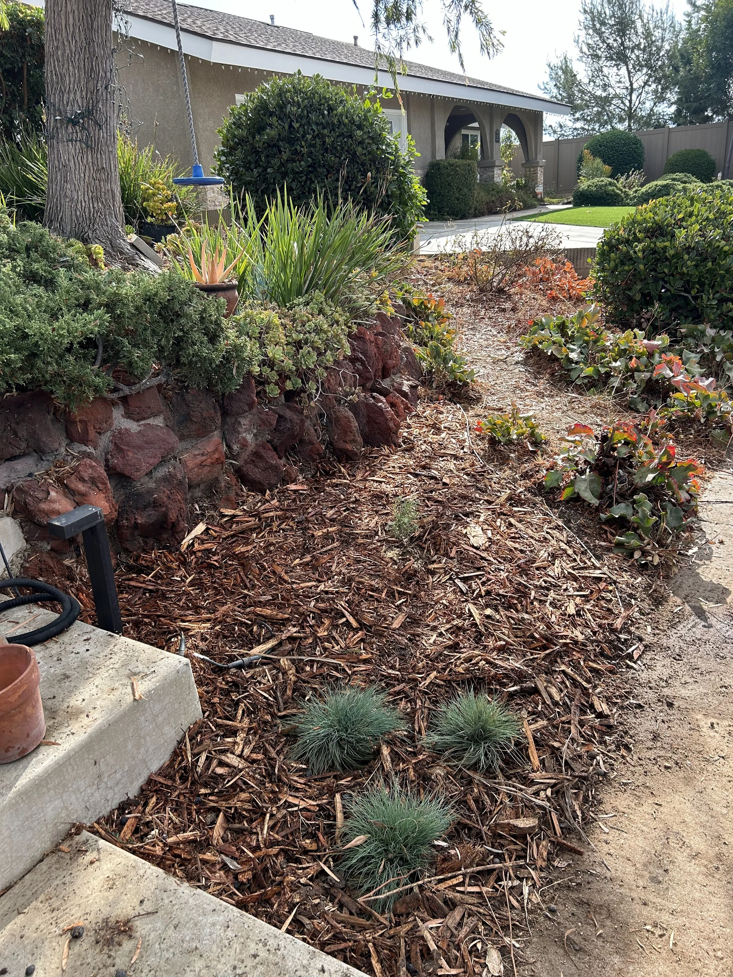 A front yard with a dirt garden bed, some small tufts of grass, and a concrete pathway. There are bushy plants and a large tree with a swing hanging from it. In the background, there is a house with a front porch, a lawn, and a fence.
