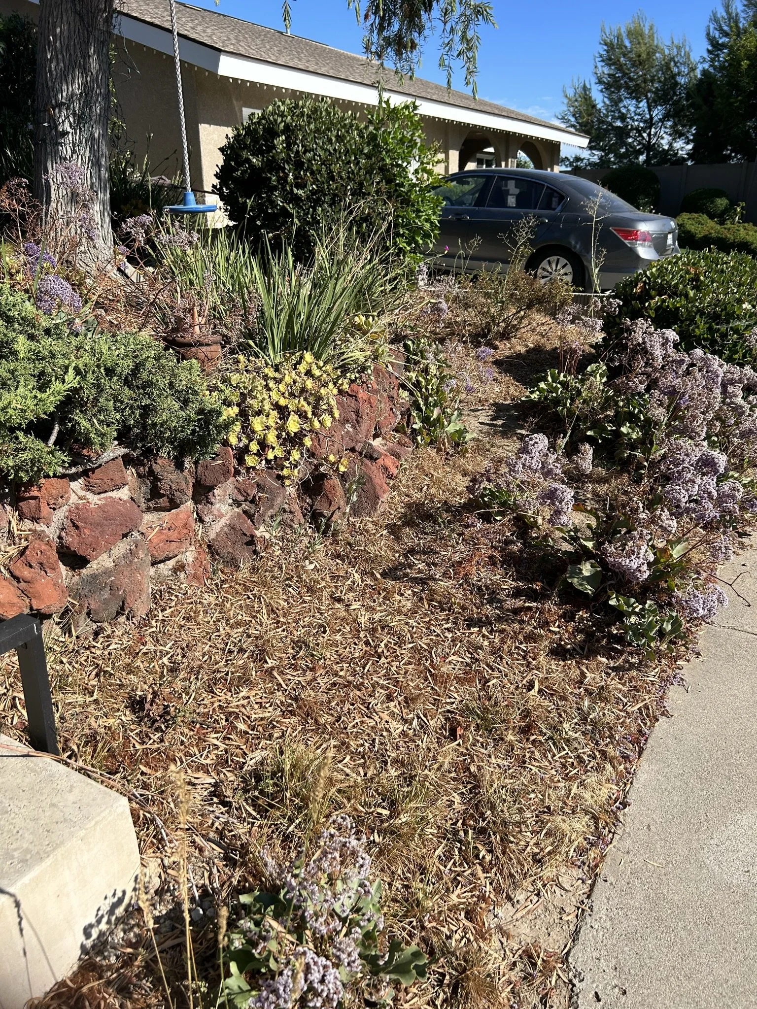 A landscaped front yard with a tree, bushes, purple and yellow flowers, and a sidewalk. A black car is parked near the house in the background, and the sky is clear and blue.