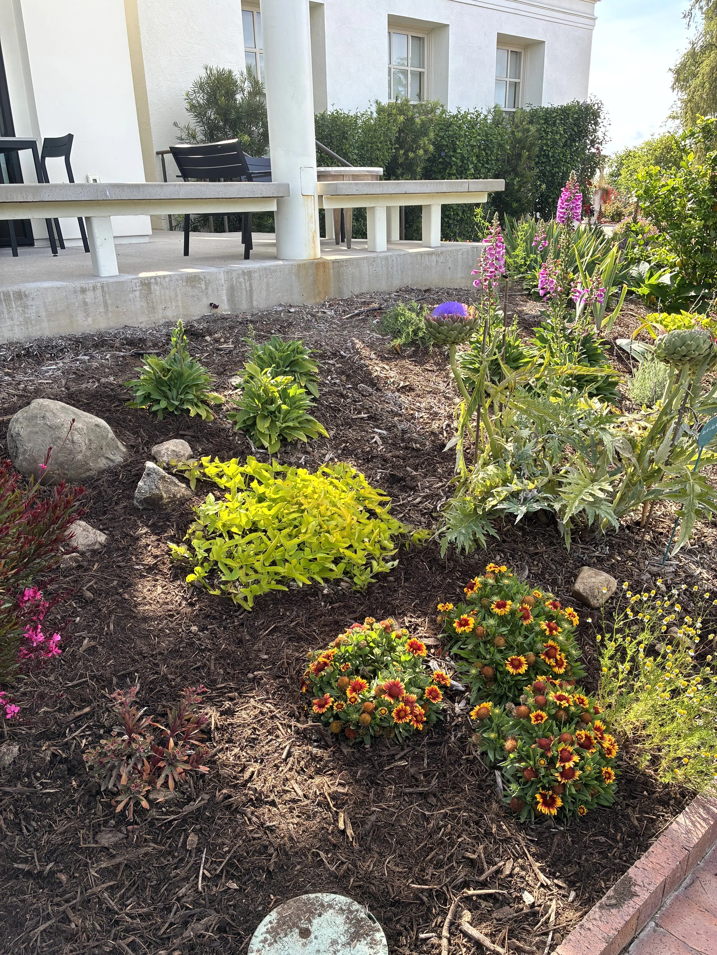 A garden bed with colorful flowers, surrounded by a brick border, in front of a white house with a porch and black chairs.