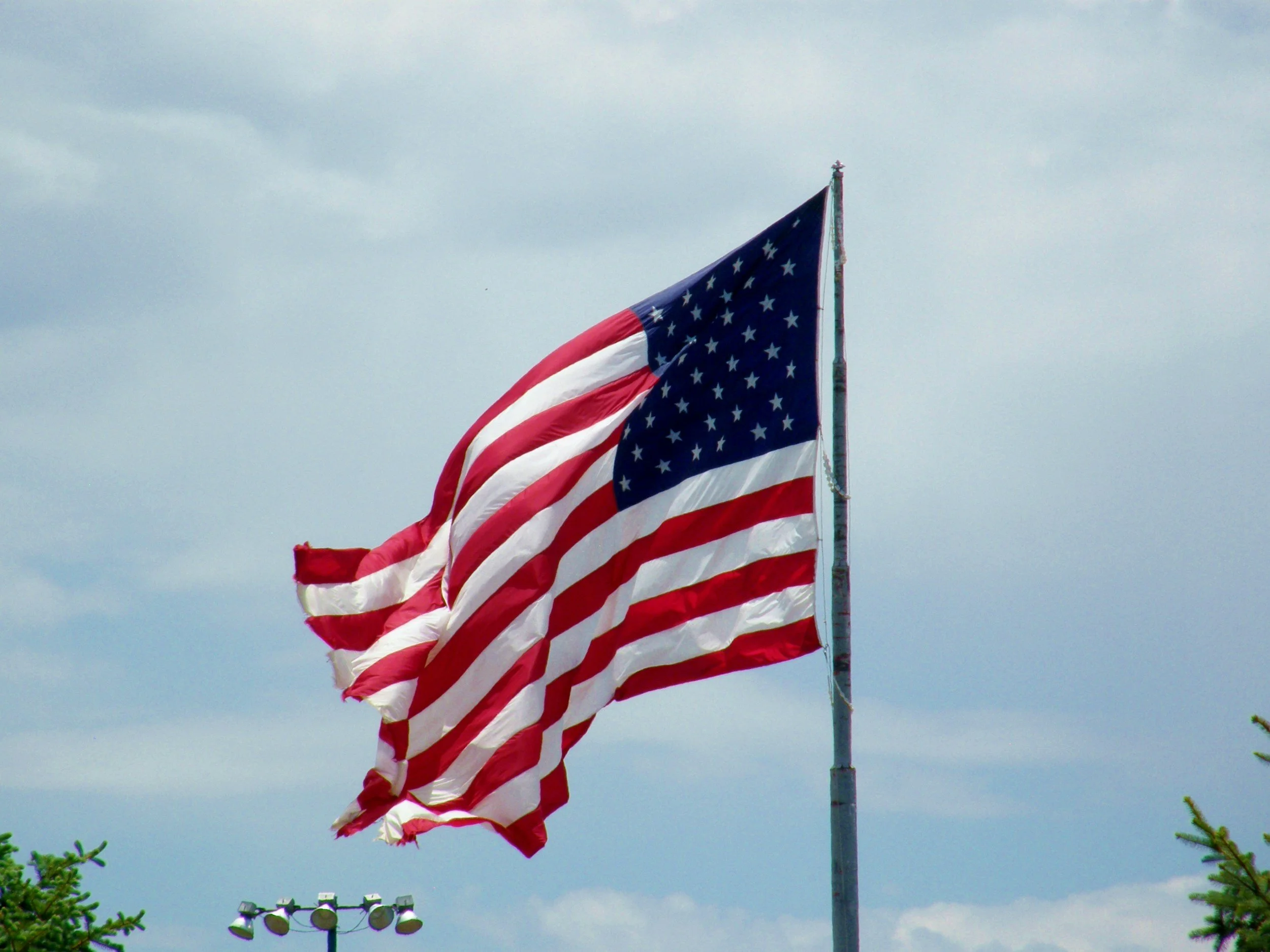 Veteran's Day