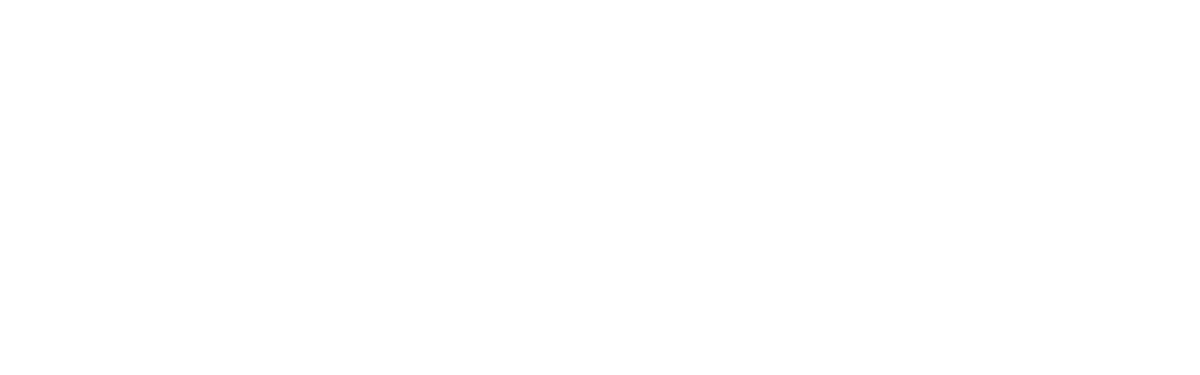 DESTINATION BAY RIDGE