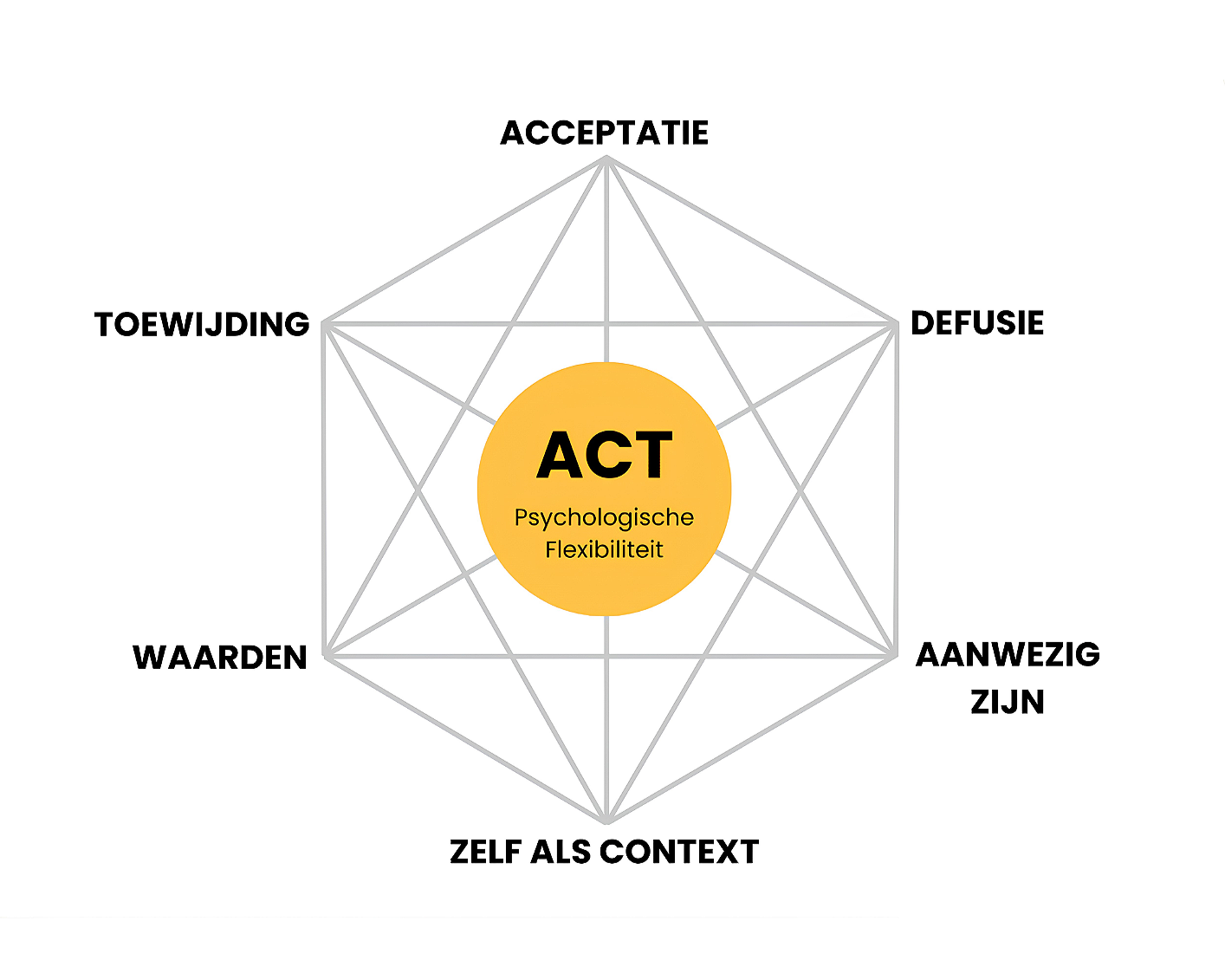 Diagram met centrale tekst 'ACT' en 'Psychologische Flexibiliteit', met daaromheen woorden zoals 'Acceptatie', 'Defusie', 'Aanwezig Zijn', 'Zelf Als Context', 'Waarden', 'Toewijding'.