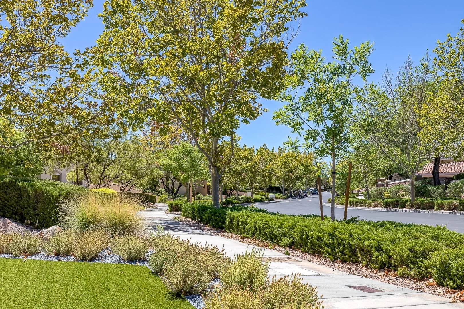 Mountain Trails, Summerlin sidewalk lined with trees and bushes, with a street and houses in the background under a clear blue sky.
