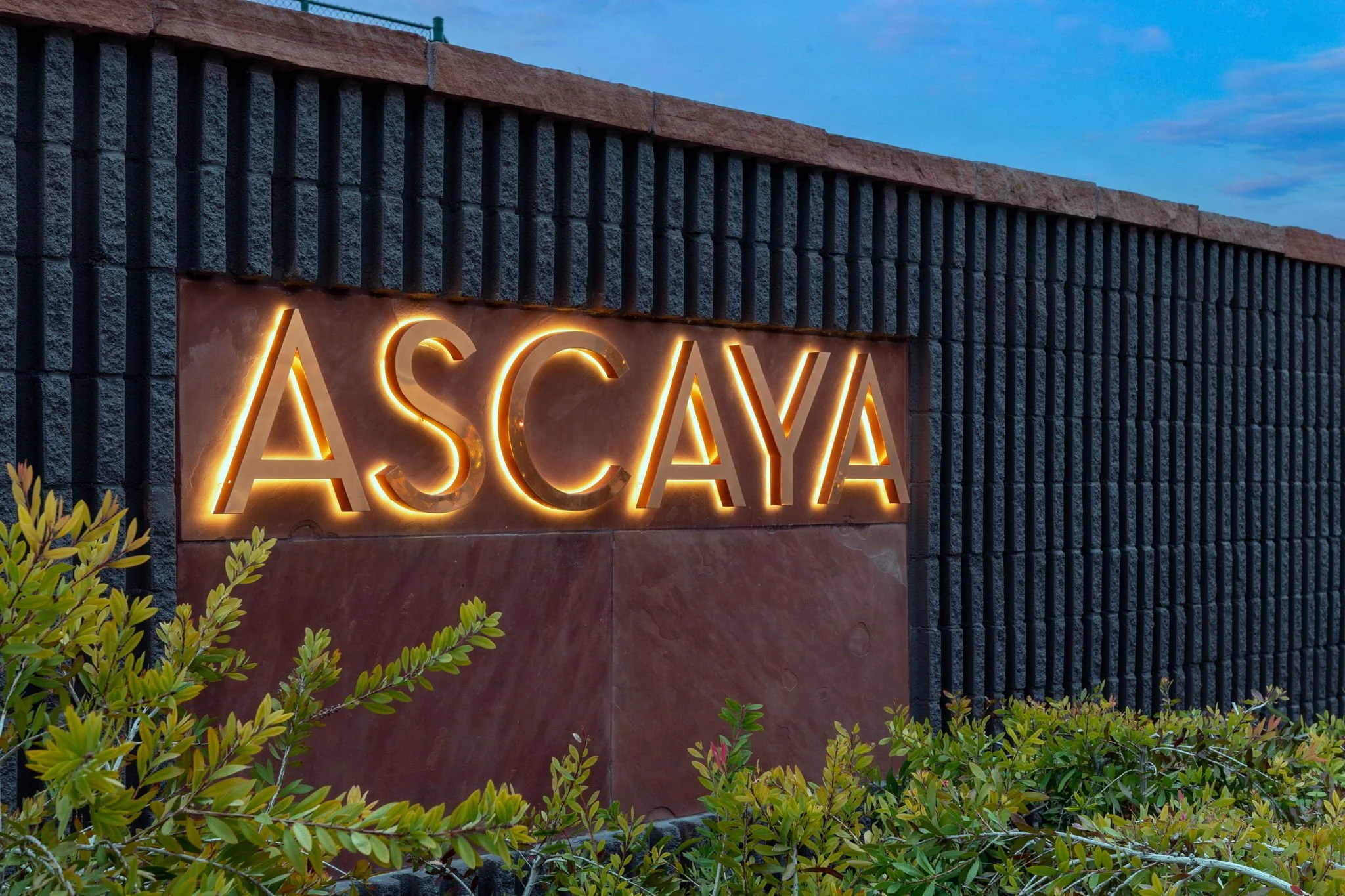 Neon sign reading 'ASCAYA' on a brick wall with plants in the foreground and a partly cloudy evening sky in the background.