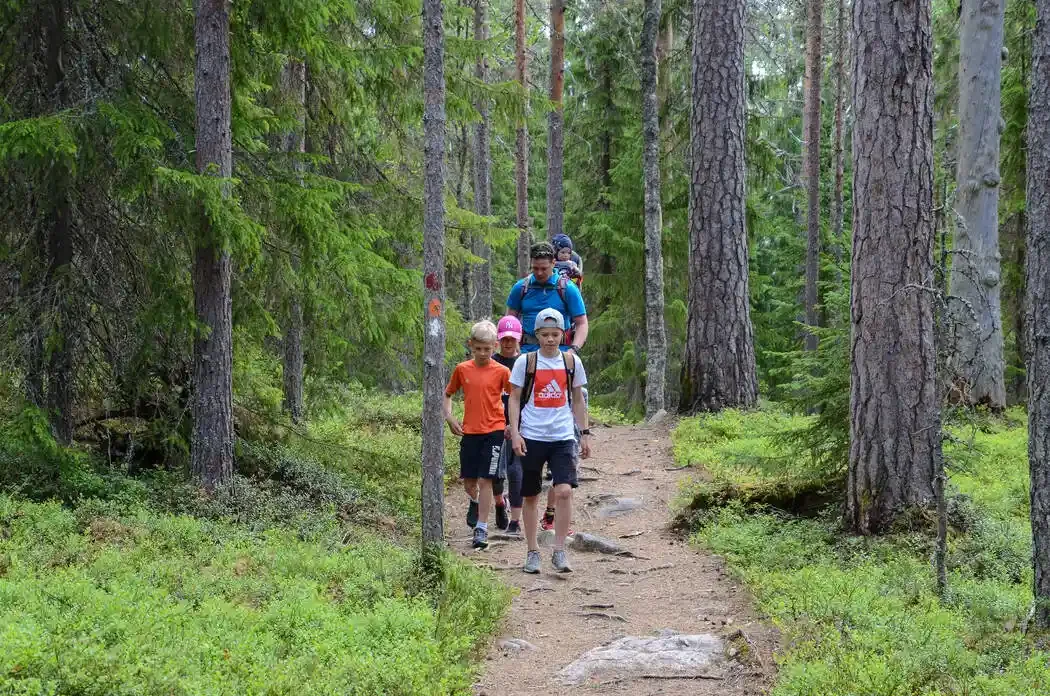 A group of children and teenager hiking on a forest trail surrounded by tall pine trees and green foliage.