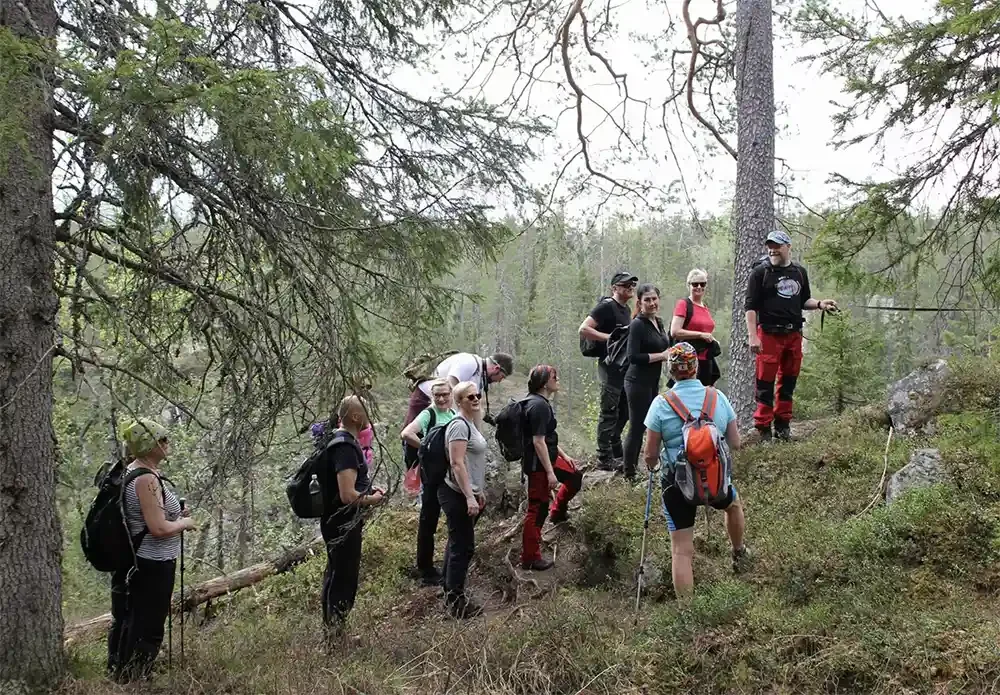 Group of hikers with backpacks walking on a forest trail.