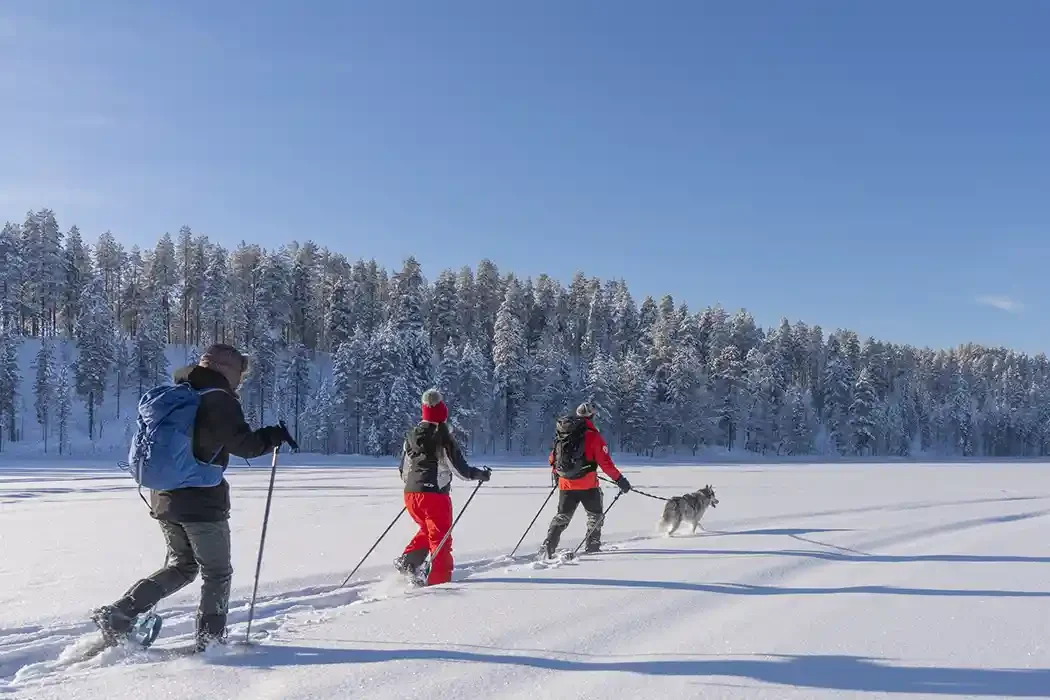Three people snowshoeing in a snowy landscape with a dog, trees covered in snow, and a clear blue sky.