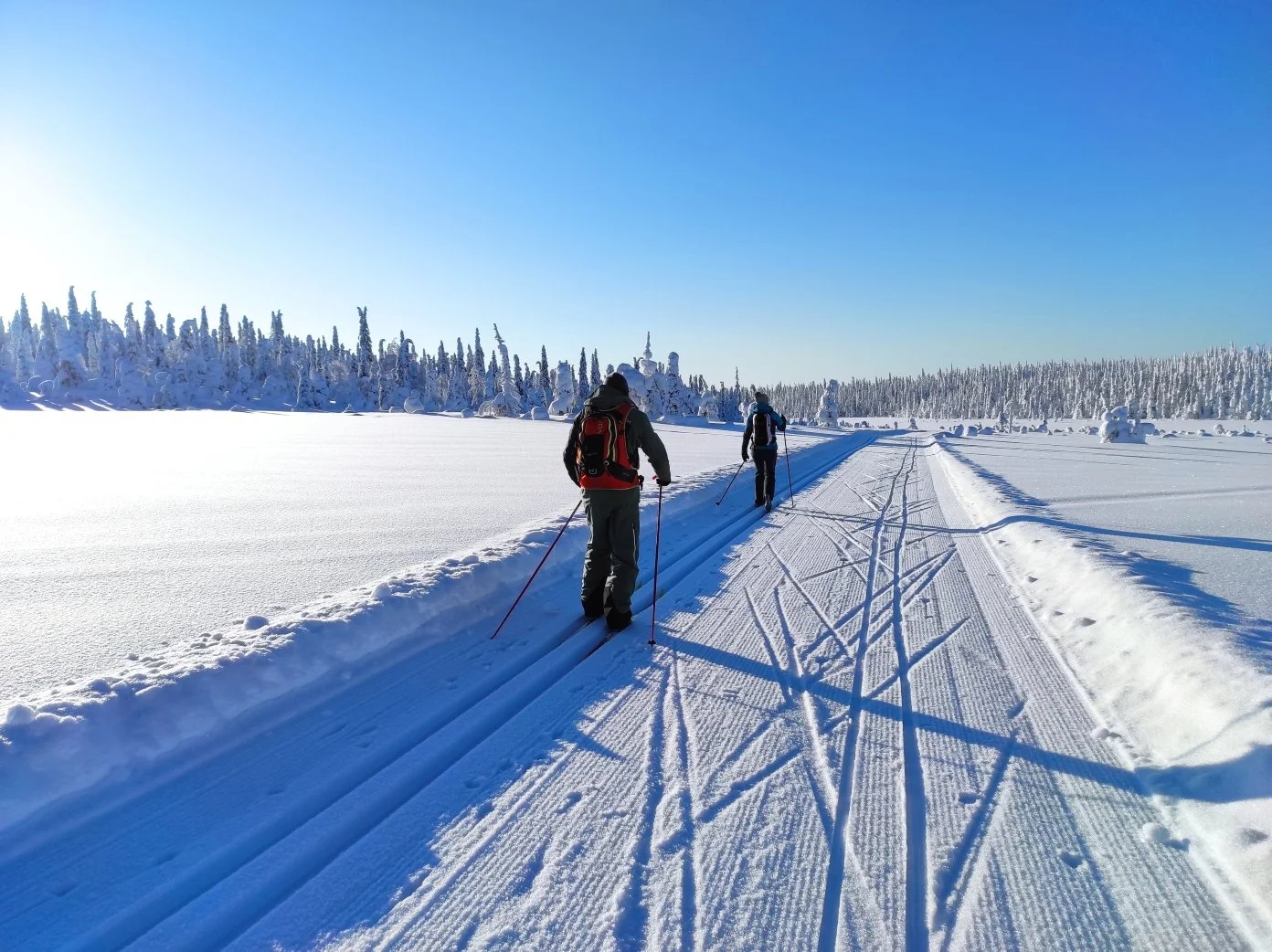 A Week on Skis: Exploring the Quiet Hills of Southern Lapland