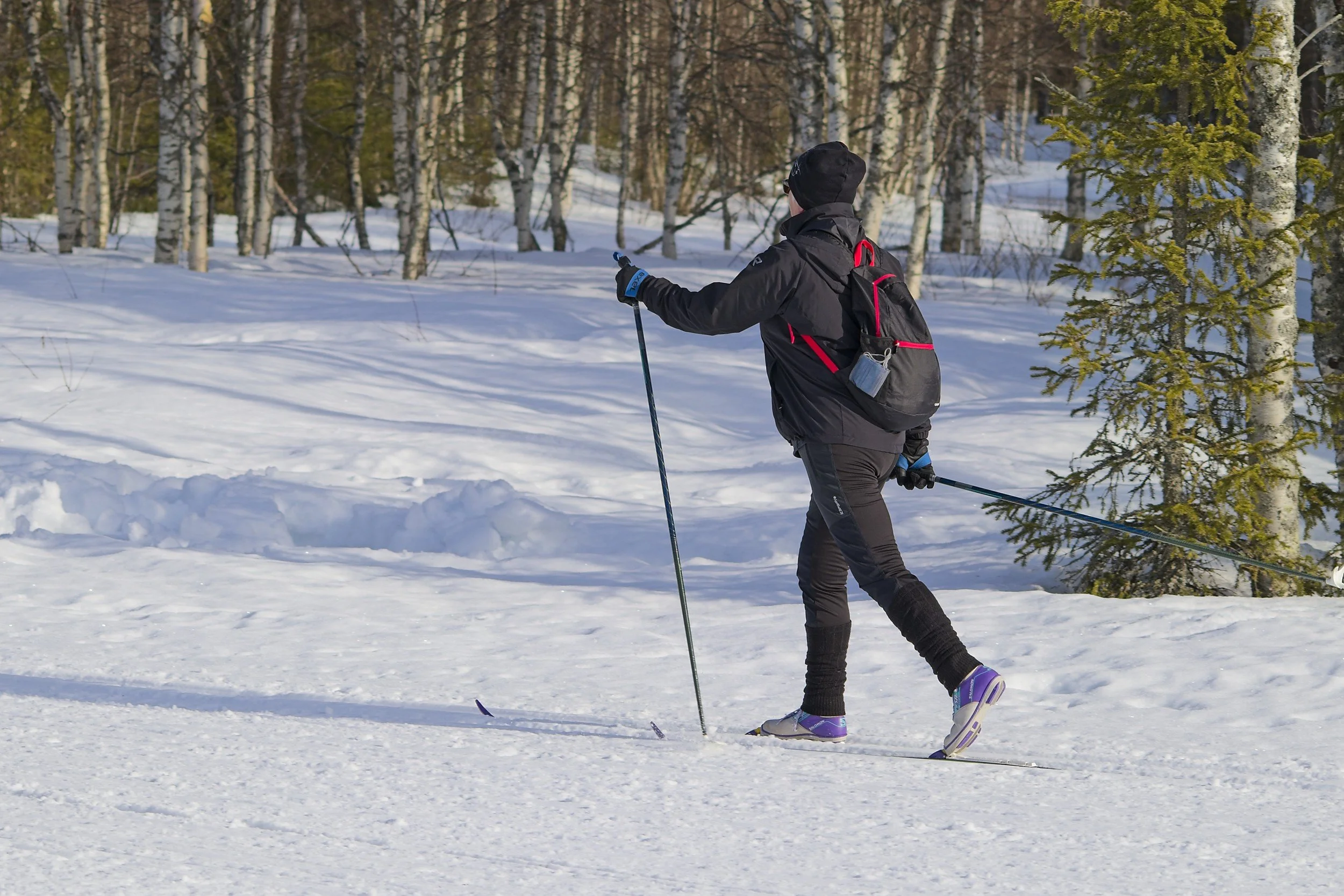 Person cross-country skiing through a snowy forest with bare trees and some green conifers.