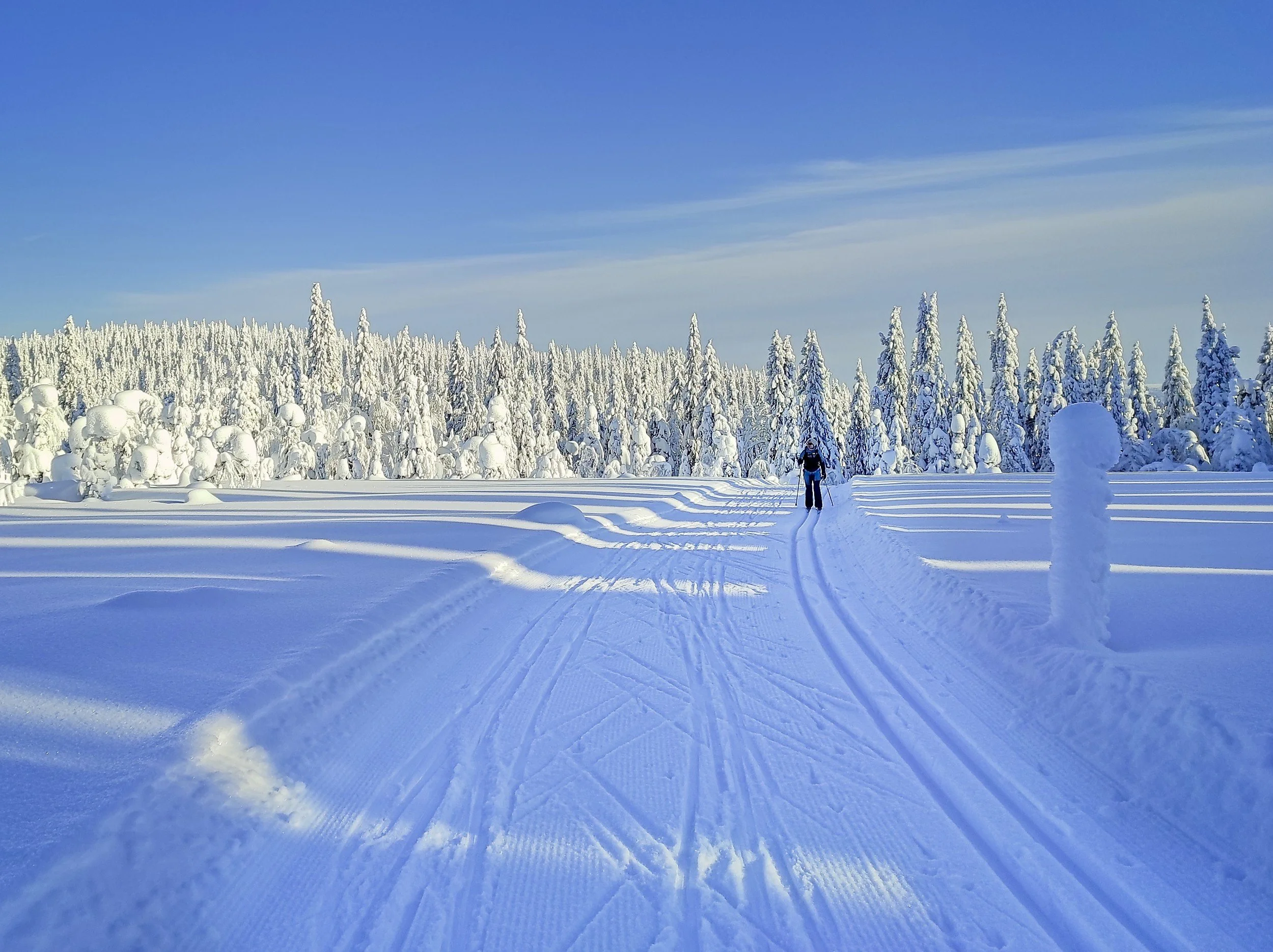 A snow-covered landscape with a person dressed in winter gear walking along a trail. The area is filled with snow-laden trees under a clear blue sky.