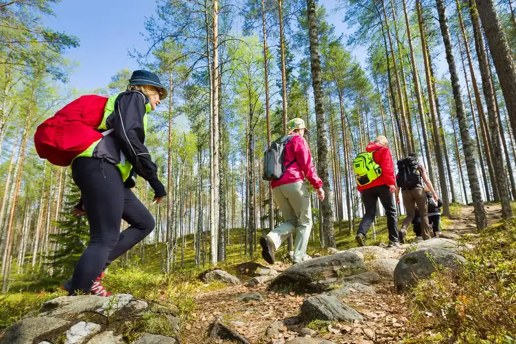 Group of five hikers climbing a rocky trail in a forest with tall trees under a clear blue sky.