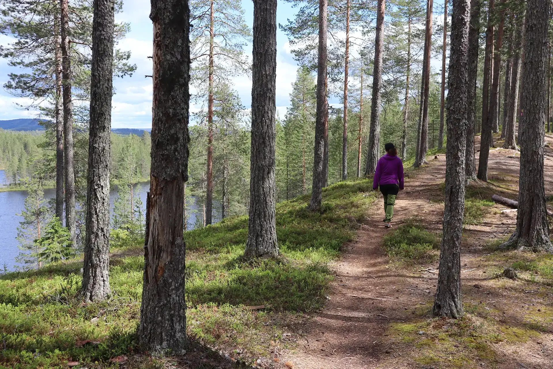 Uncovering Lapland's Secret Trails: A Hidden Wilderness Experience Awaits