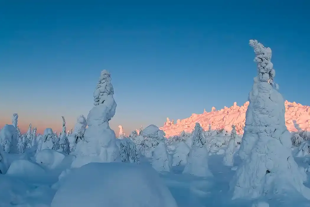 Snow-covered trees in a winter landscape with a mountain in the background during sunset