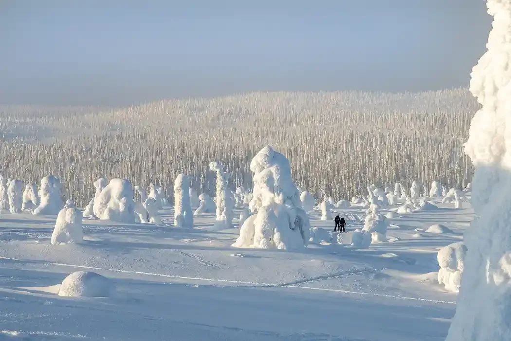 Snow-covered landscape with trees heavily coated in snow, two people walking through the snow, and a clear sky.