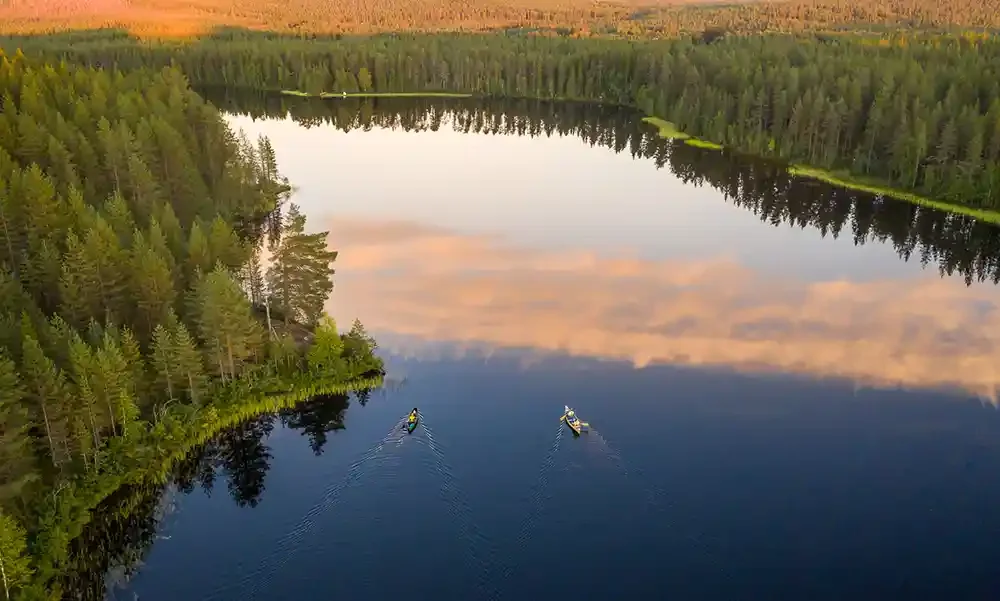 Two kayakers paddling on a calm river surrounded by dense forest with trees reaching the water's edge, during sunrise or sunset.
