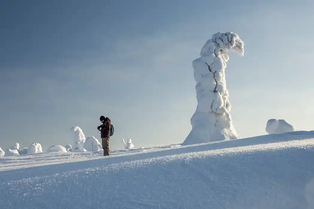 A person standing on snow with a large snow-covered tree in the background under a clear sky.