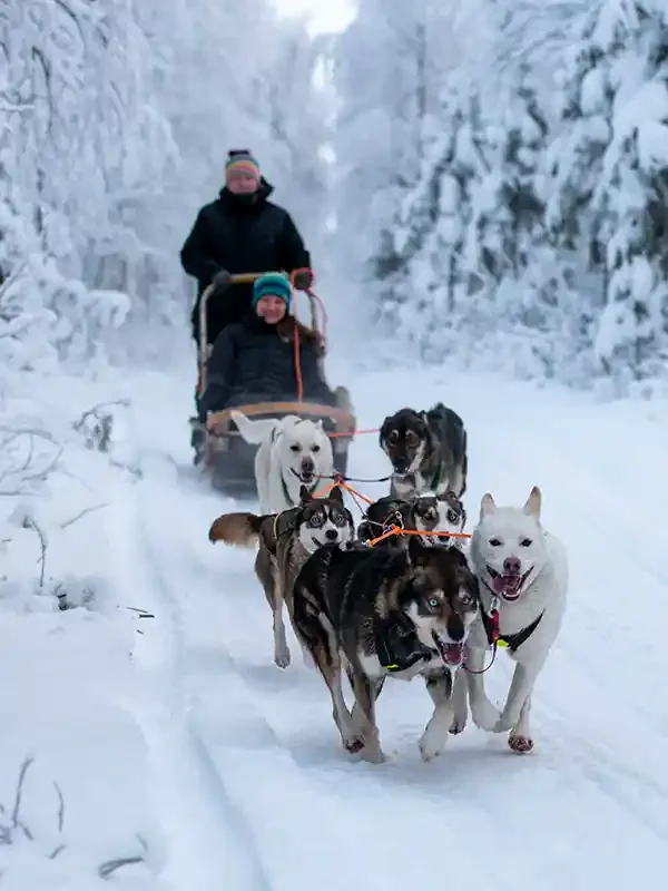 Two people are riding a dog sled pulled by six husky dogs through a snowy forest.