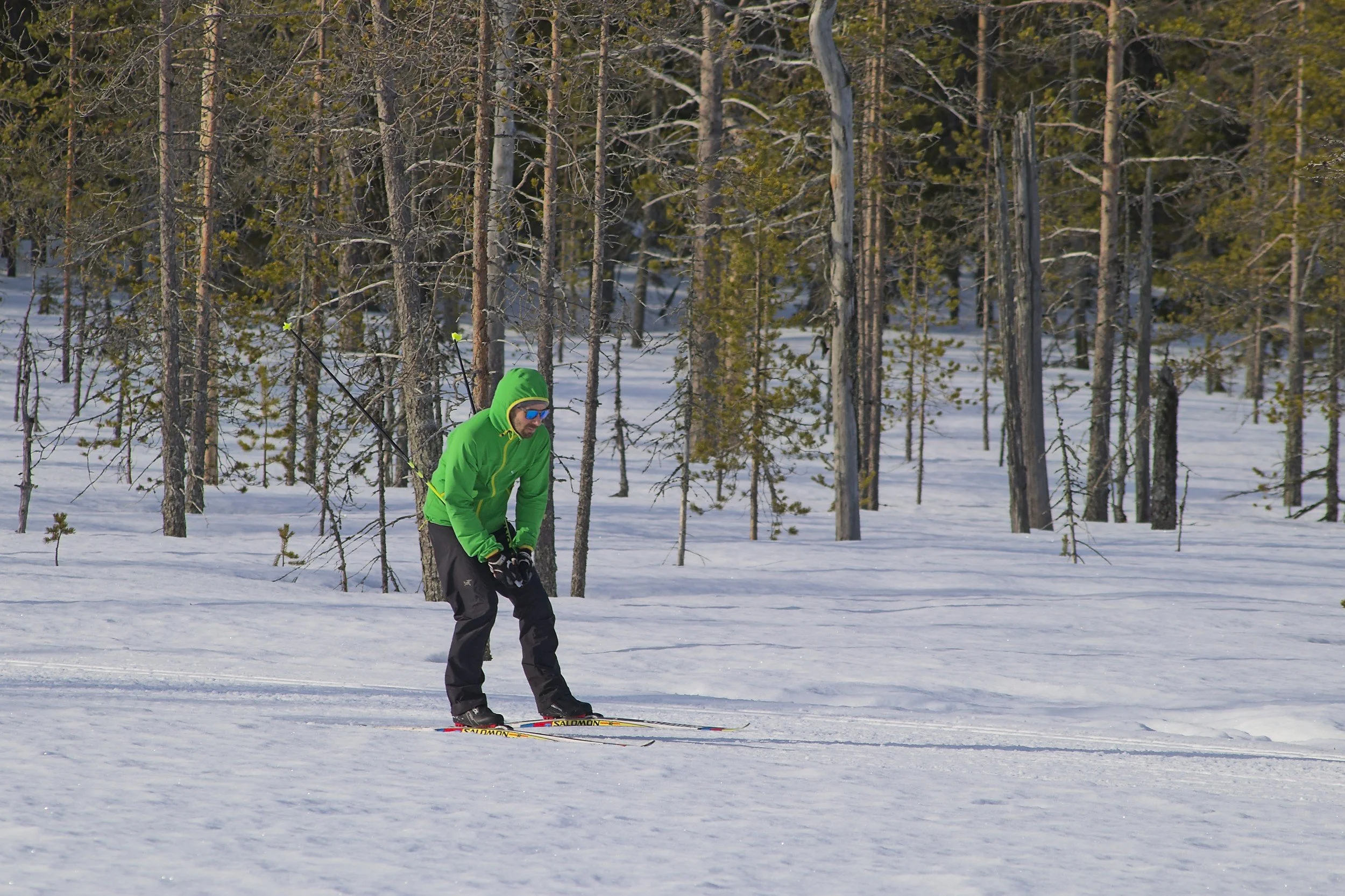 A person in a bright green jacket, black pants, and sunglasses cross-country skiing on a snowy trail through a forest with tall, leafless trees.