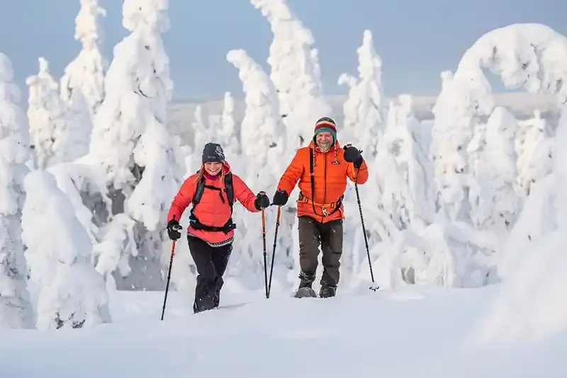 Two people in orange jackets snowshoeing through a snowy forest with snow-covered trees.
