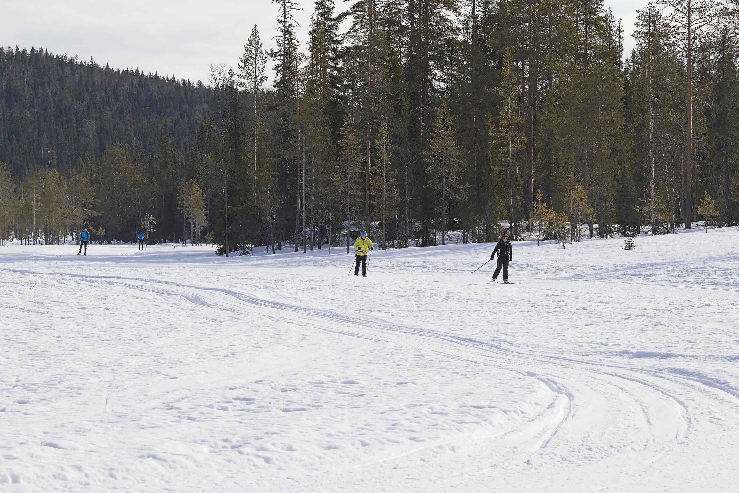 People cross-country skiing on a snowy field with a forest and mountain in the background.