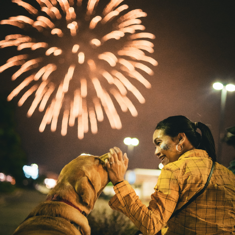 Natural Remedies for Dog Fireworks Anxiety – Holistic Calming &amp; Training Guide – Part 2.