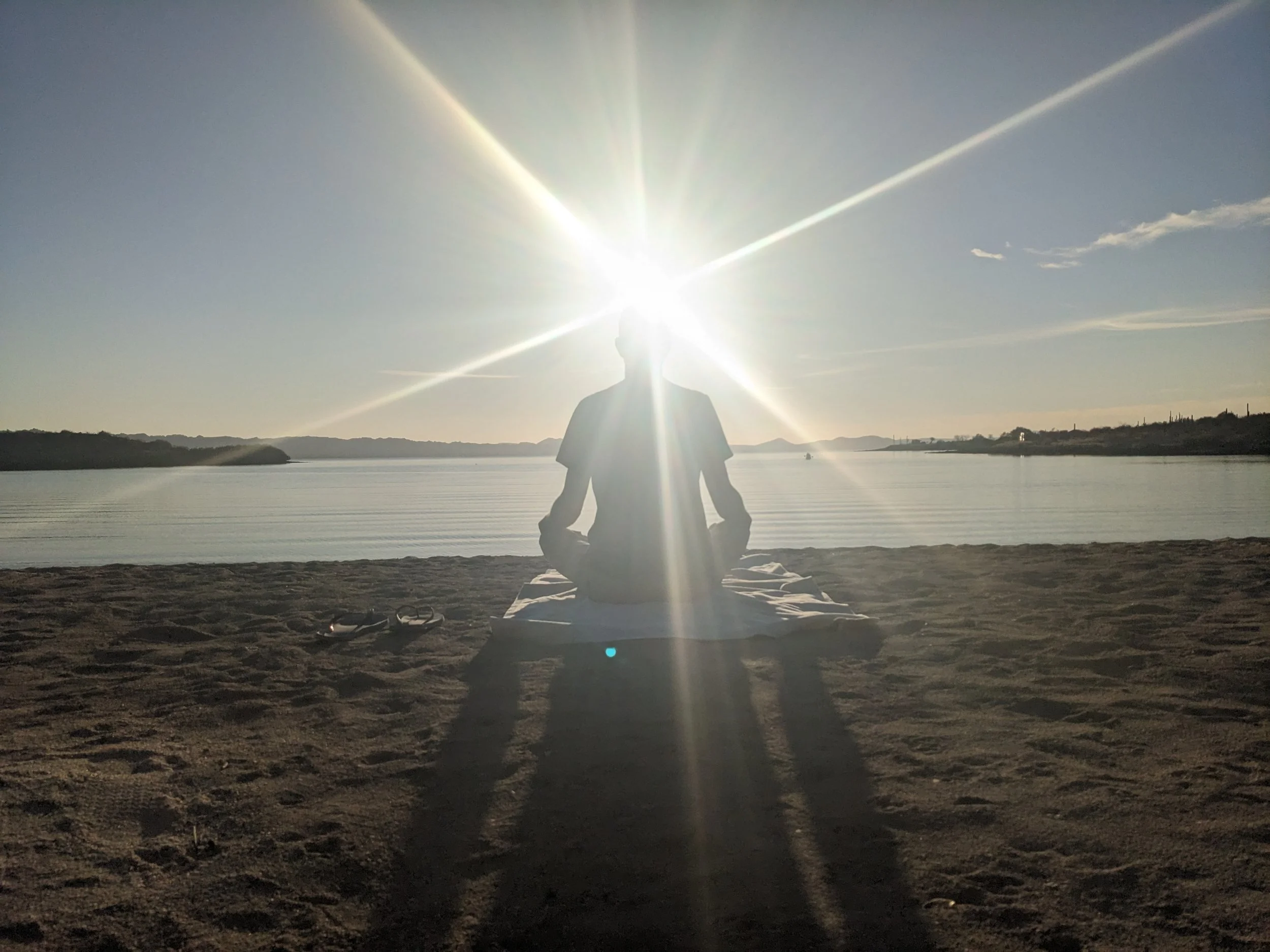 Your Note in the Symphony