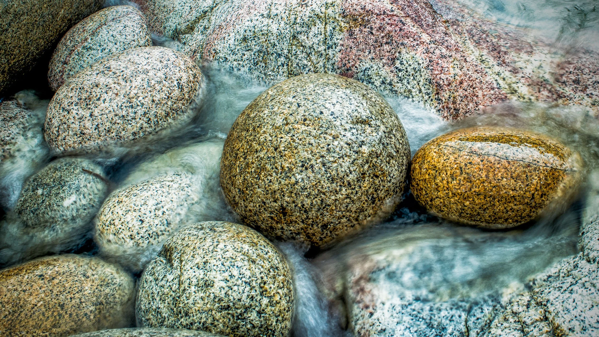 Dinosaur Eggs