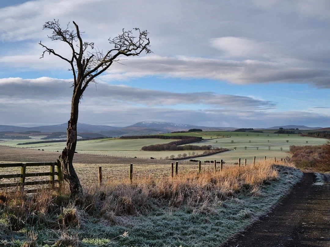 St Cuthbert&rsquo;s Way, Northumberland. #landscapephotography #northumberlandphoto #landscape #fujifilmgfx #markmypixels