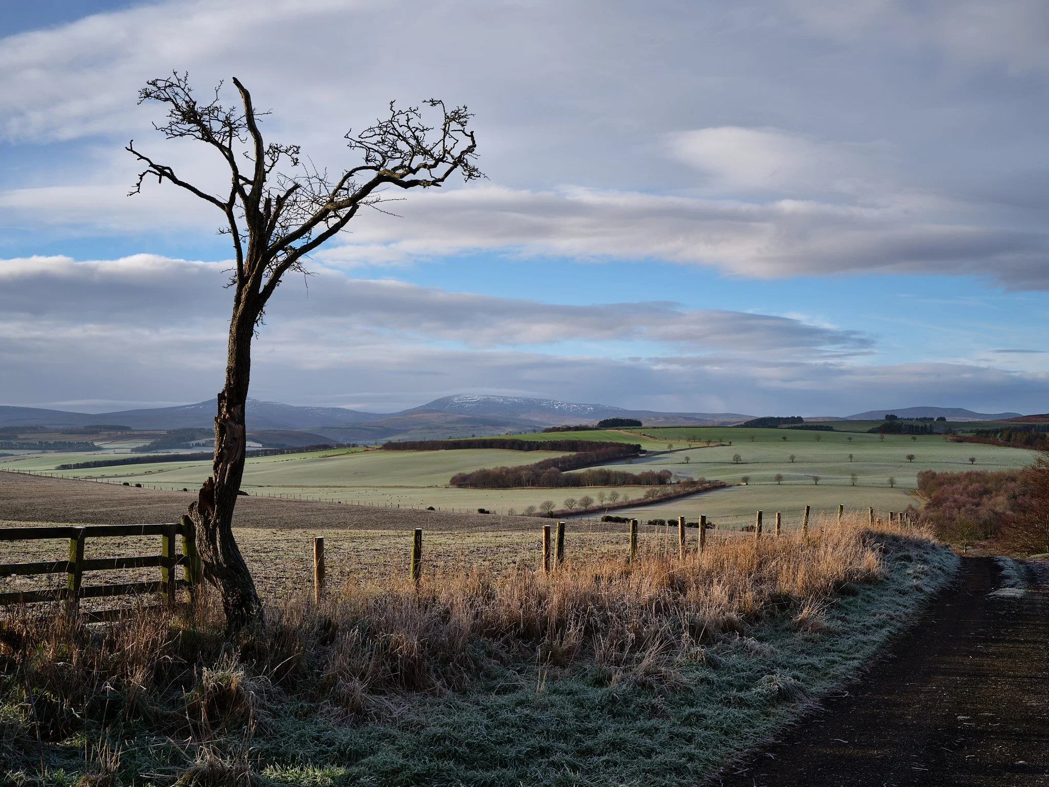 St Cuthbert's Way, Northumberland, England
