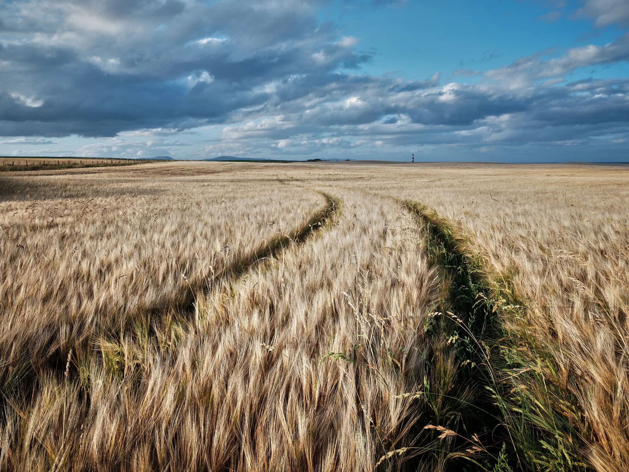 Tarbat Ness Lighthouse over a Barley field