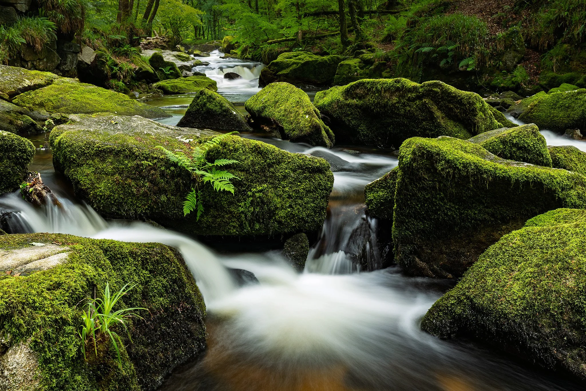 Golitha Falls, Cornwall