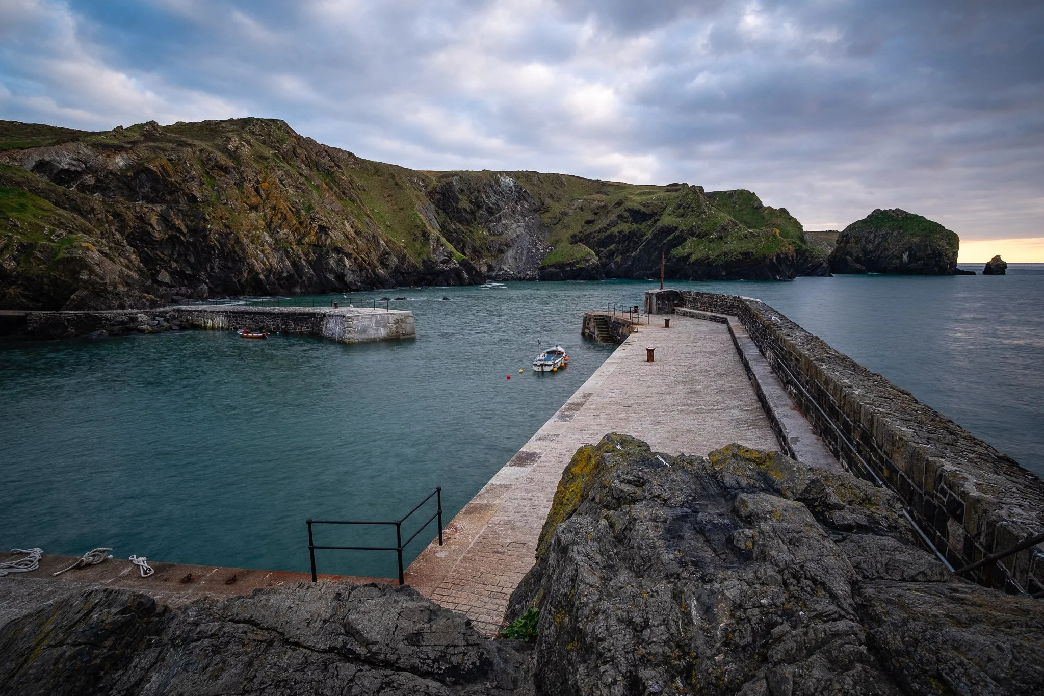 mullion-cove-lizard-02.jpg