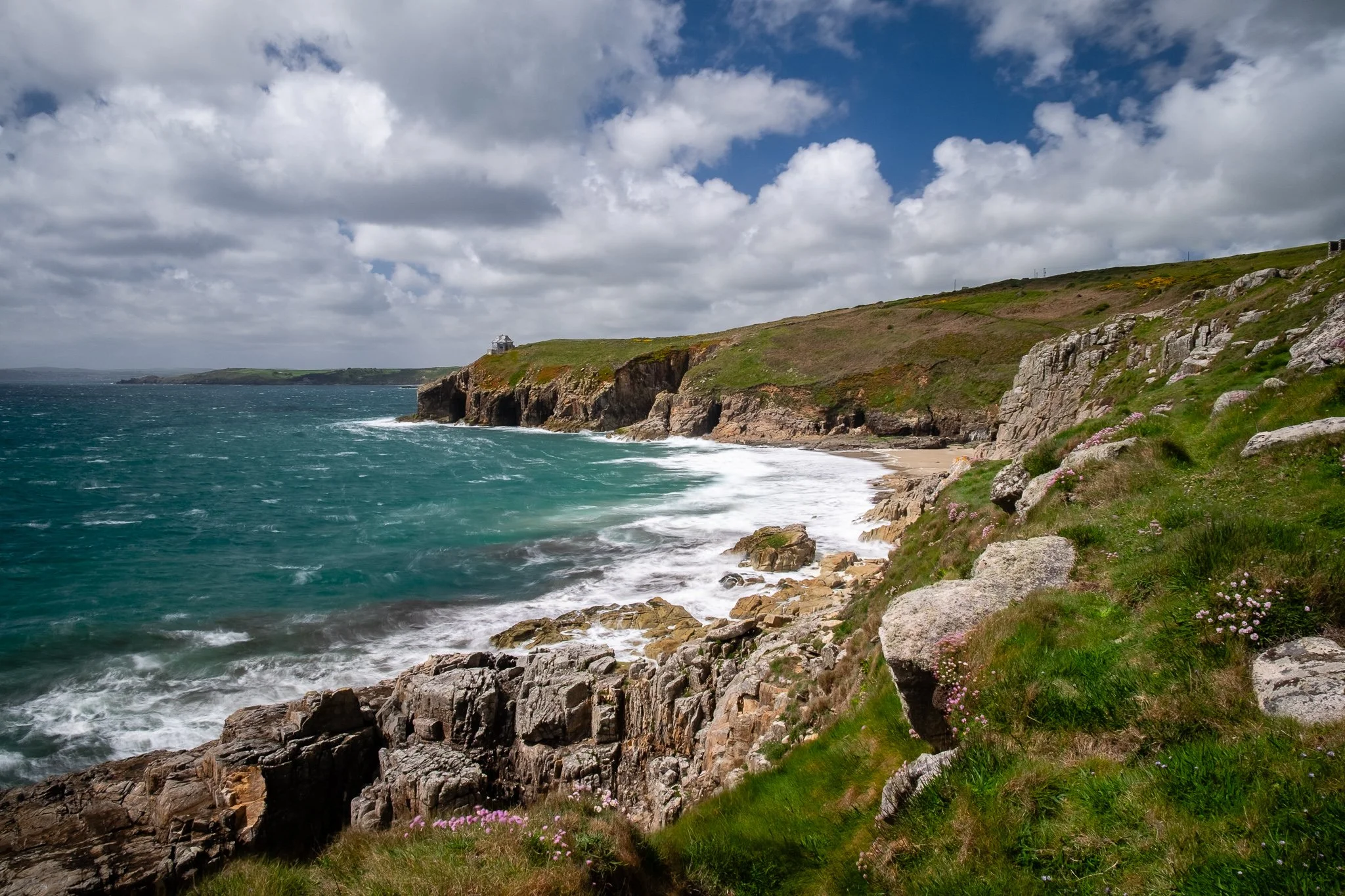 rinsey-head-lizard-01.jpg