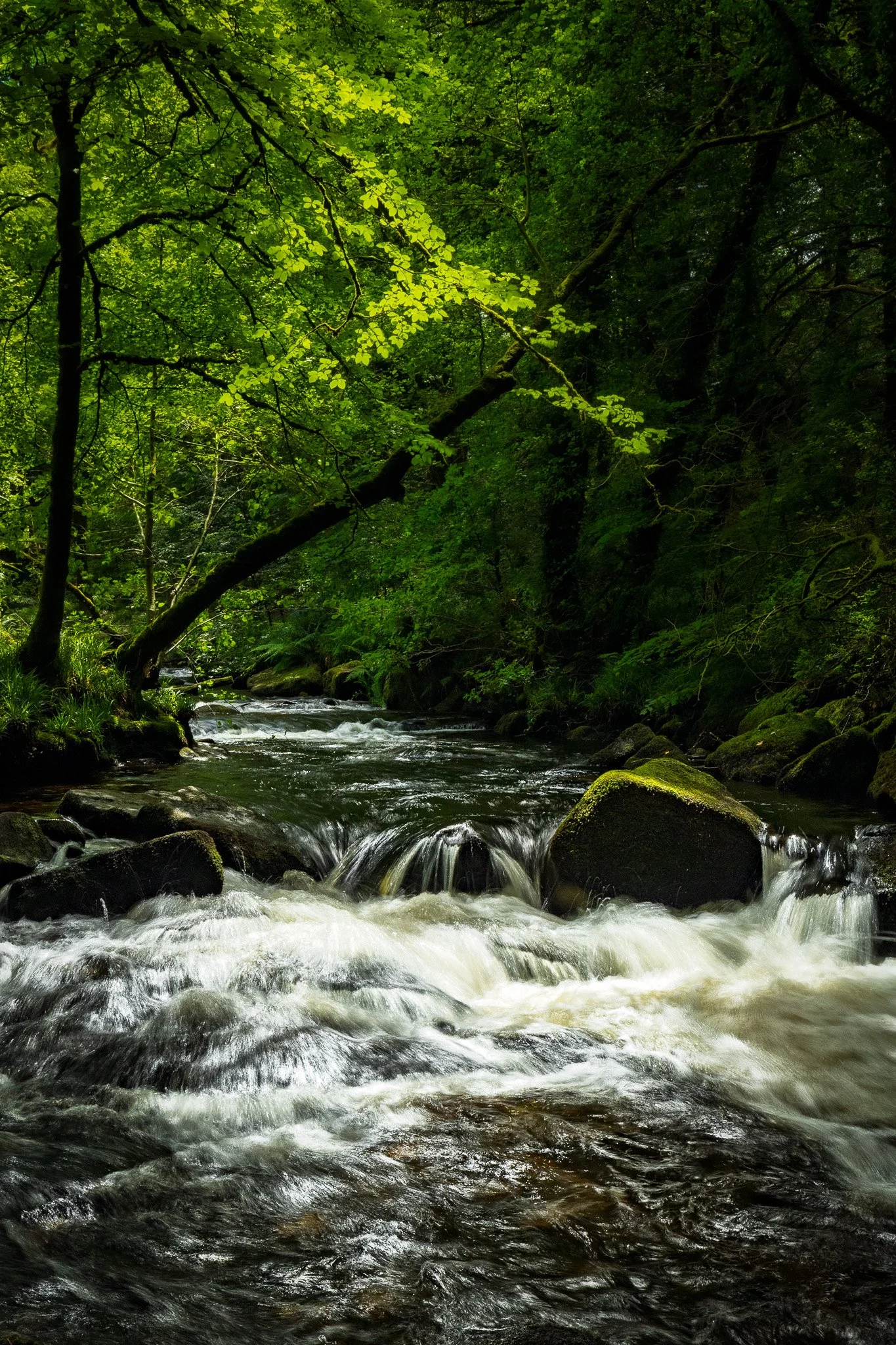River Fowey, Cornwall
