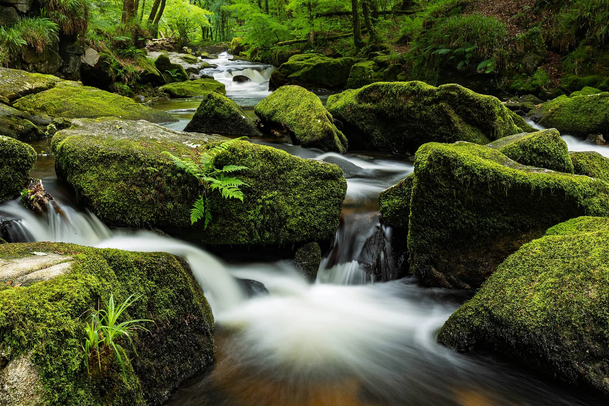 Golitha Falls