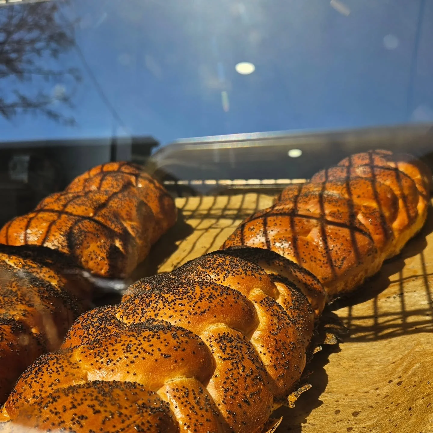 Hey sunshine! Today's $5 specials include fried cod on a baby crocodile roll, turkey &amp; brie on a baby crocodile roll, jambon-beurre, mushroom parm focaccia with olive oil and herbs de Provence, and chili. For $8, we have a spicy crispy chicken po