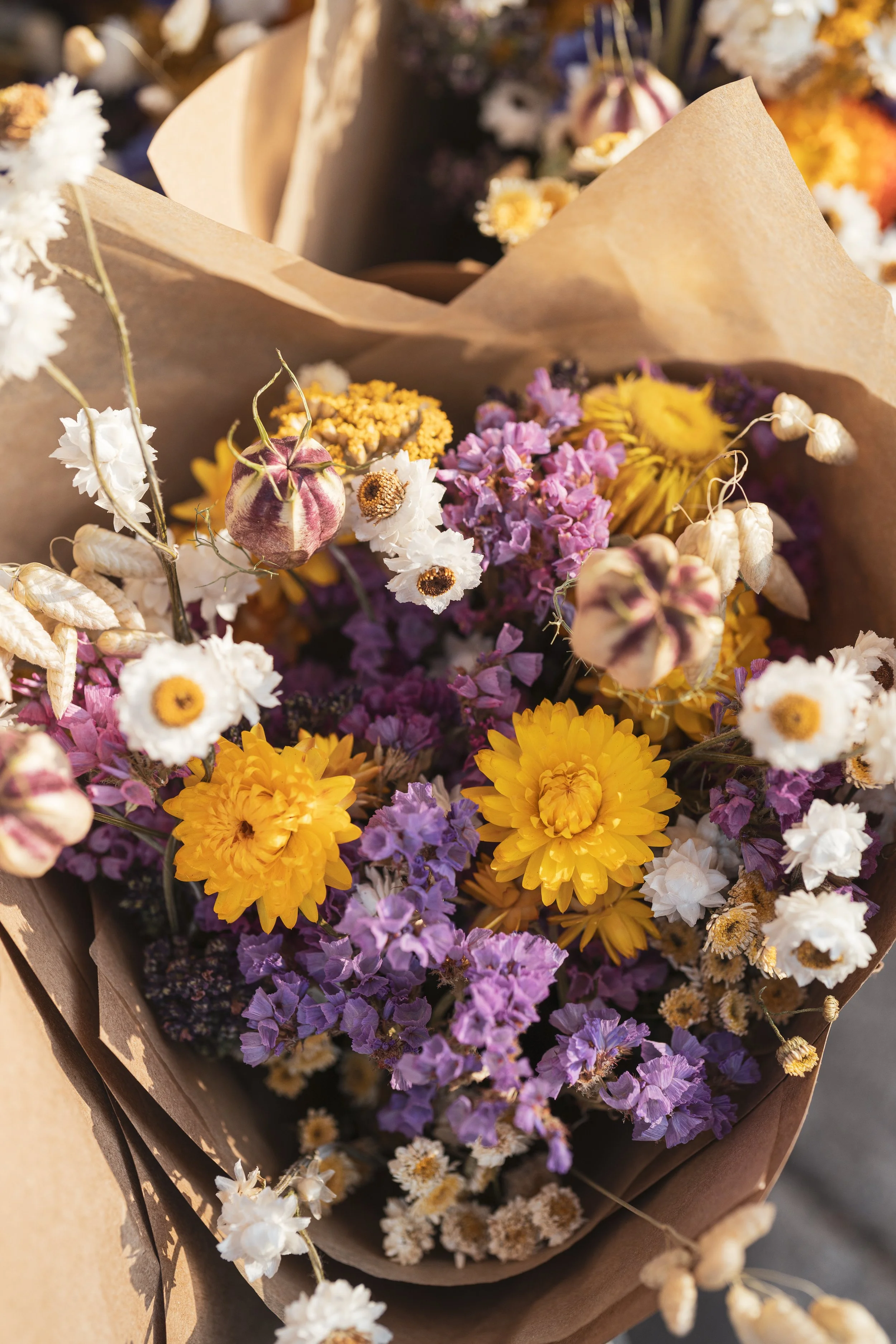 Dried Flowers
