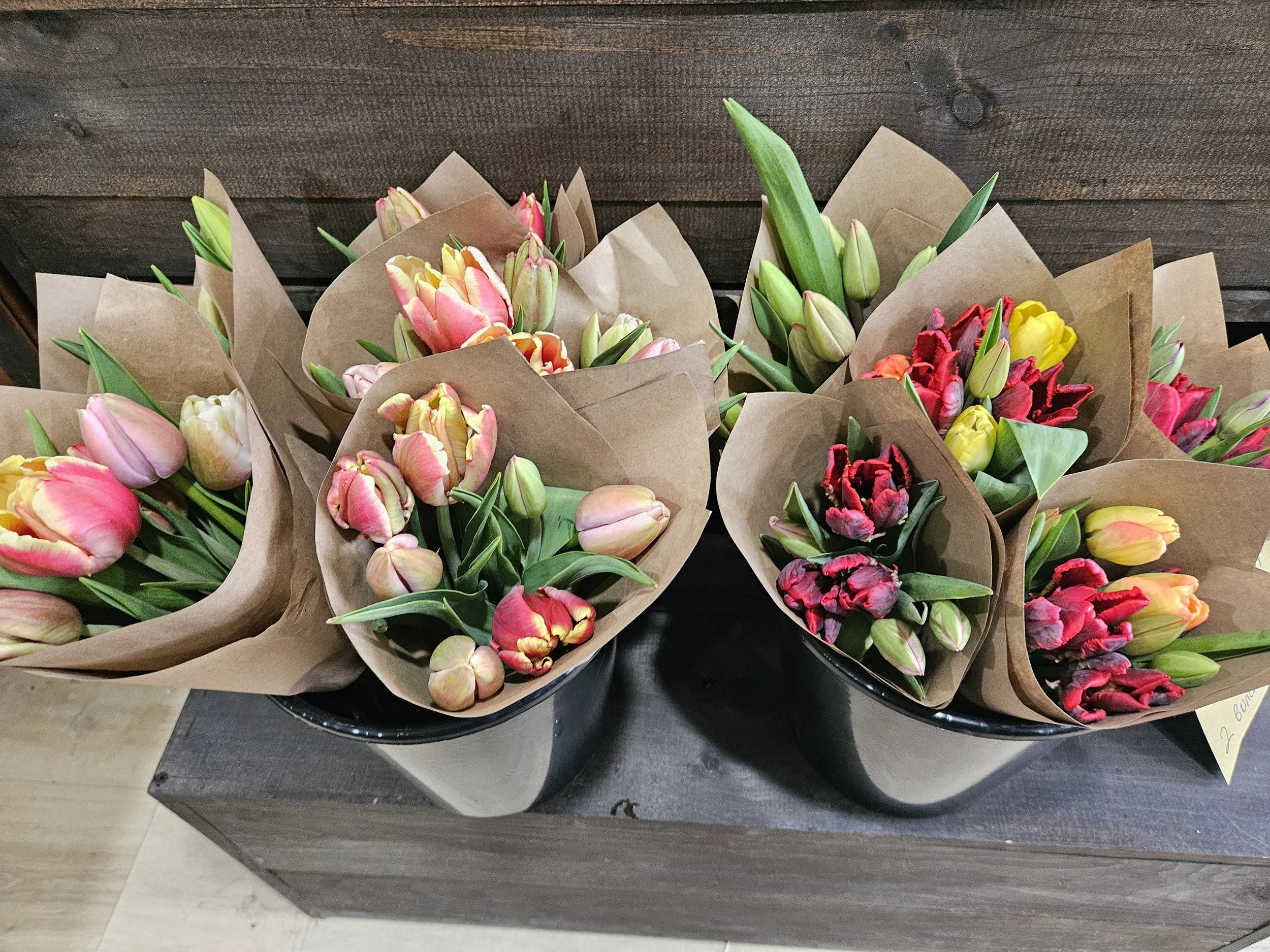 Tulips