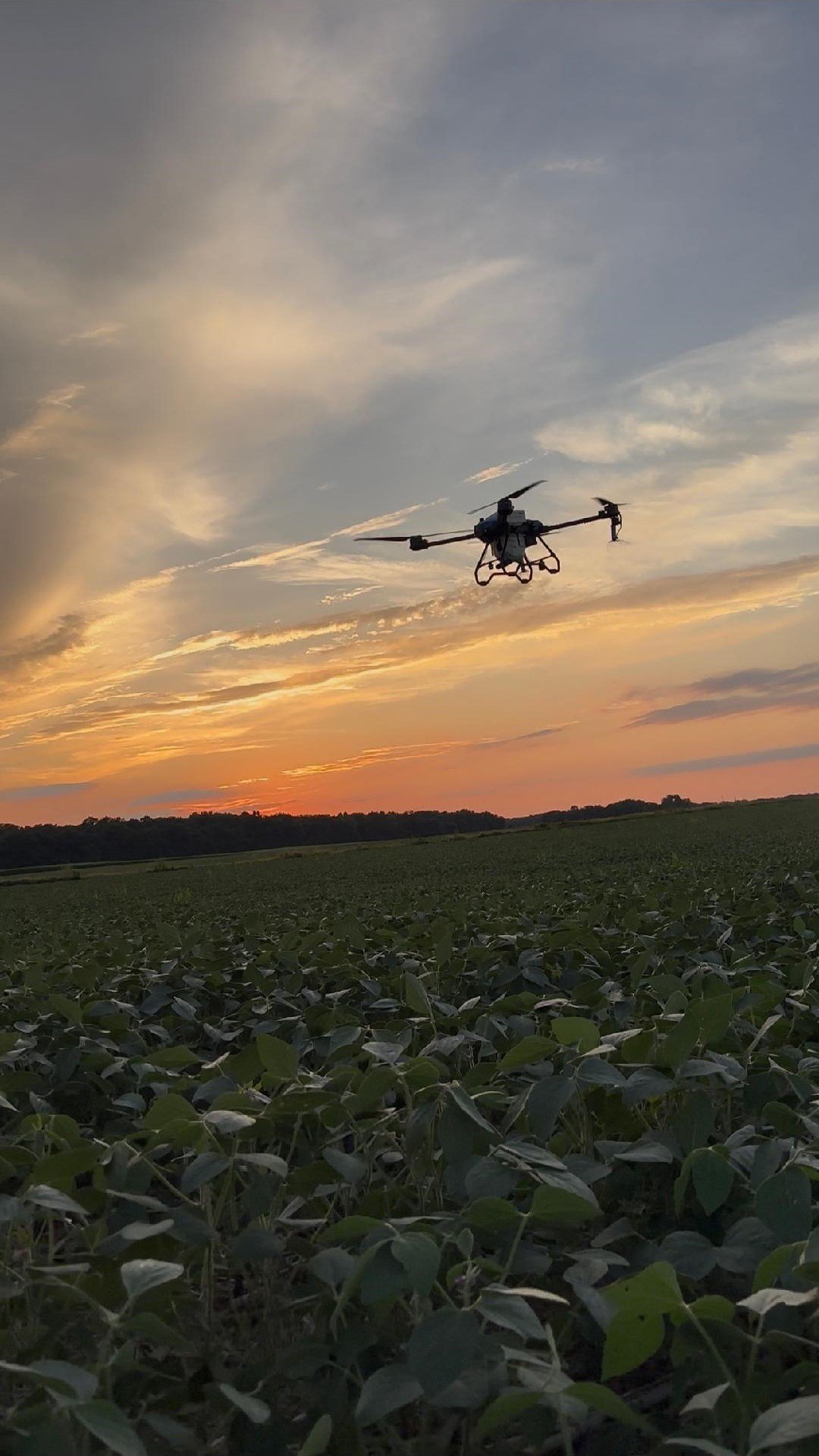Summer 2025 Newsletter – J&amp;K Smith Family Farms