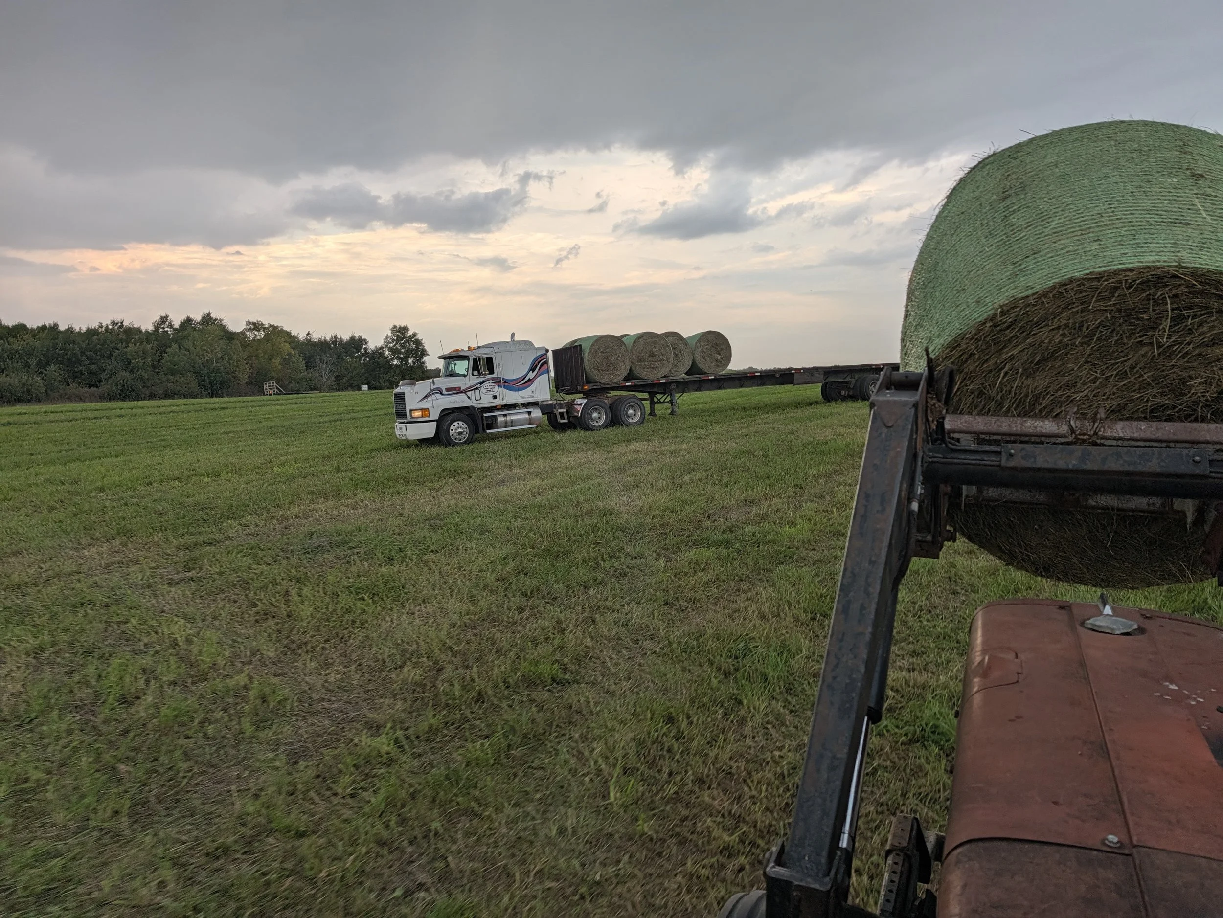Good Hay, Baler Trouble, and a Helping Hand