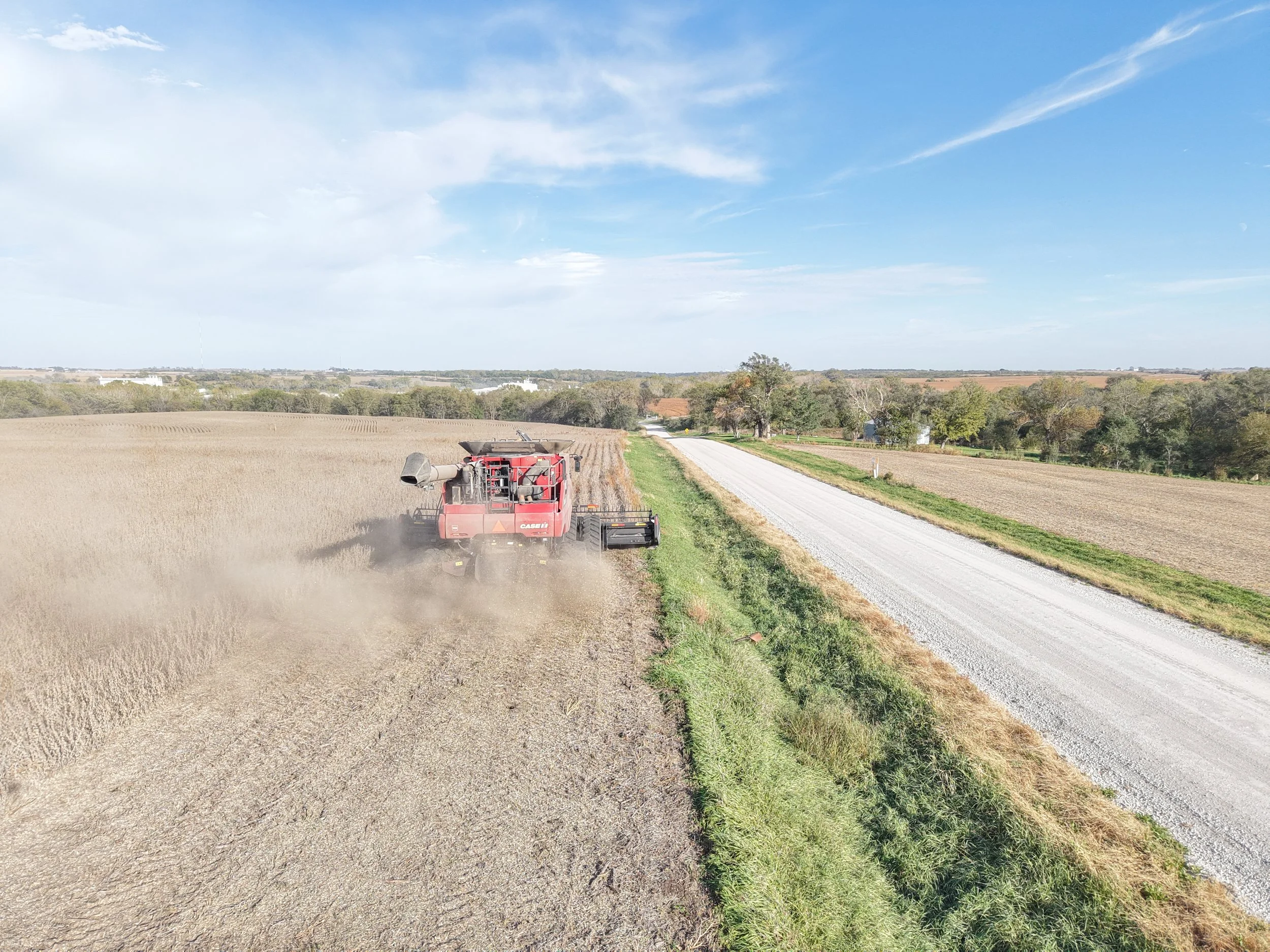 DJI_20261019172537_0248_D.JPG